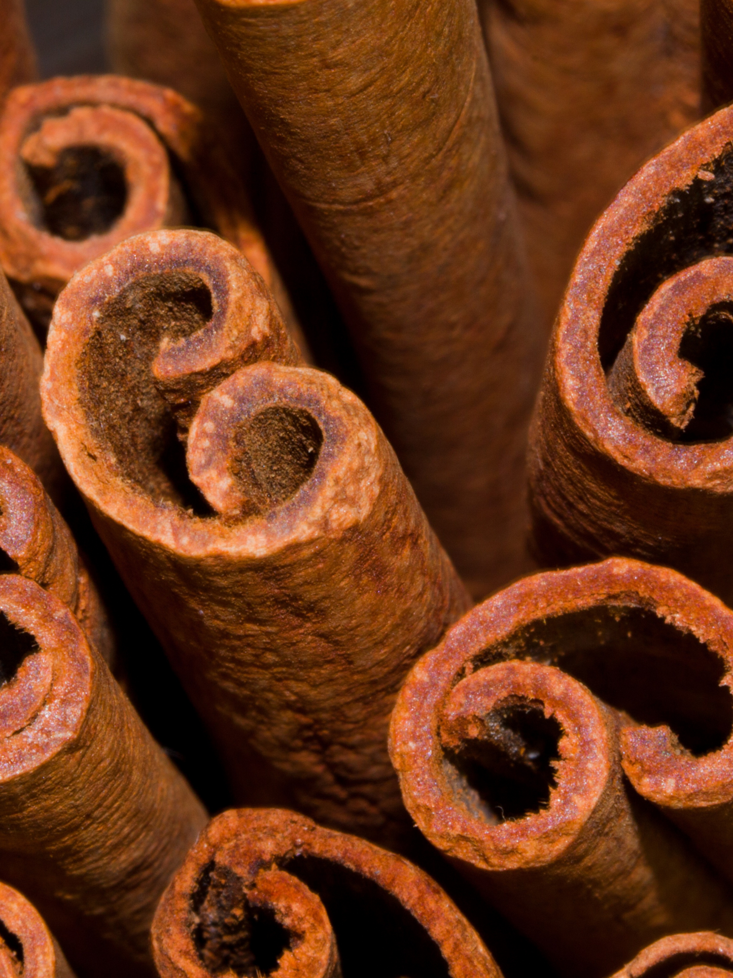 Eau de Toilette Replica Under the Stars MAISON MARGIELA