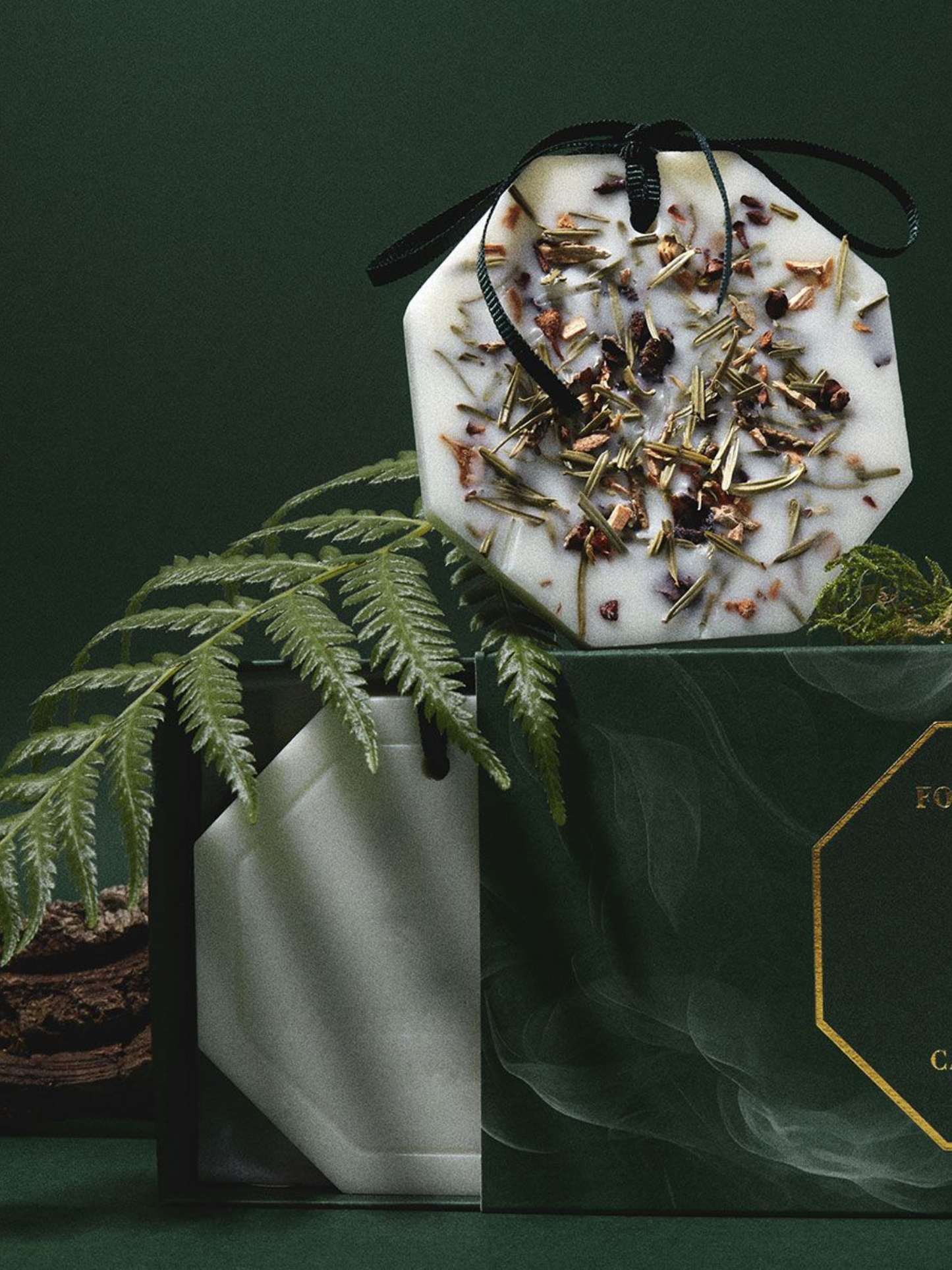 Palet botanique Forêt d'Hiver CARRIÈRE FRÈRES