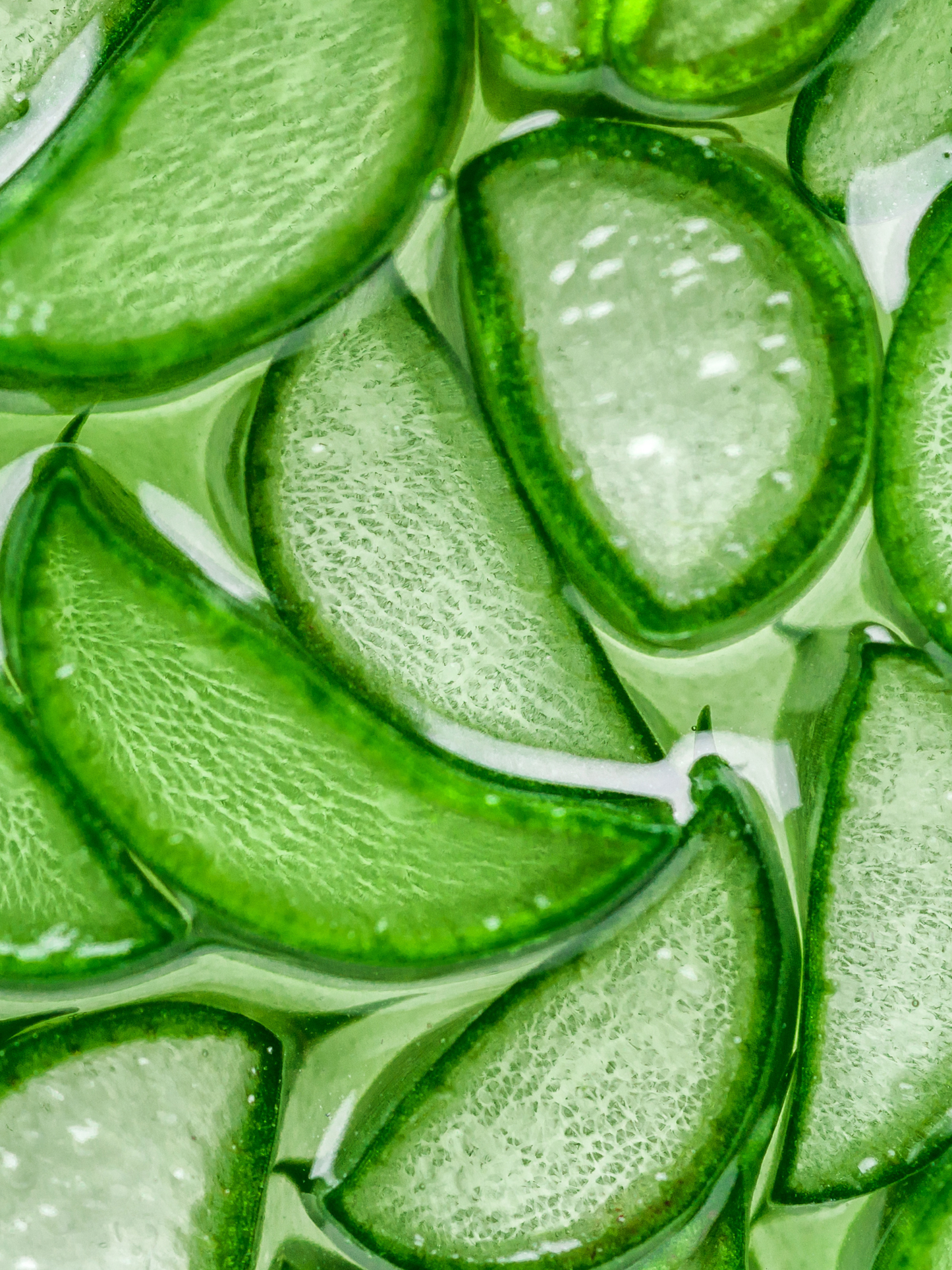 Crème hydratante instantanée Aloe Vera CHRISTOPHE ROBIN