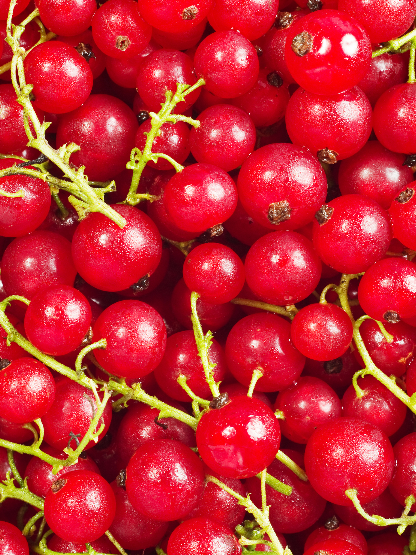Eau de toilette Replica On a Date MAISON MARGIELA