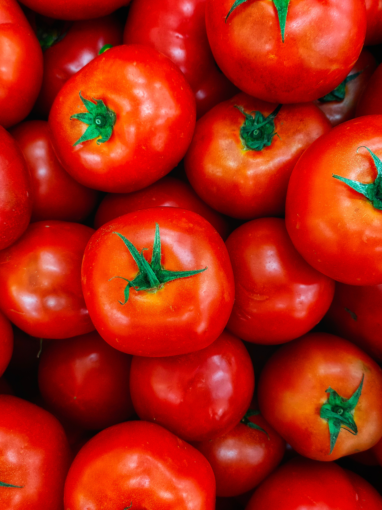 Diffuseur de parfum d'intérieur Tomate CARRIÈRE FRÈRES