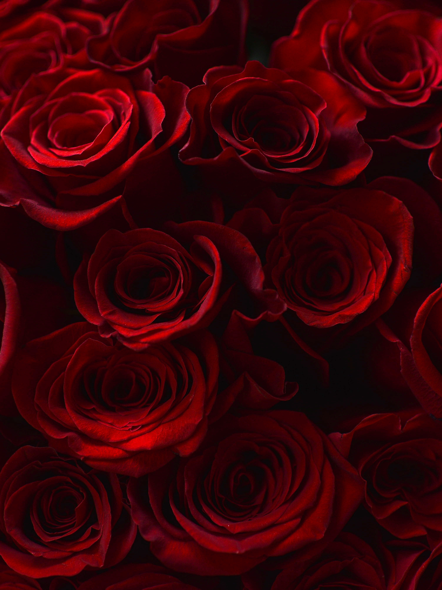 Eau de parfum Lipstick Rose FREDERIC MALLE