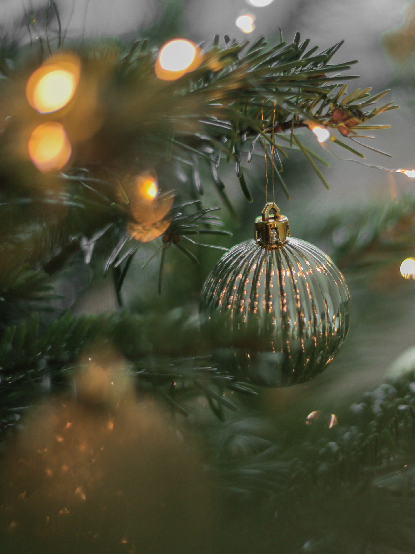 Bougie Sapin DYPTIQUE