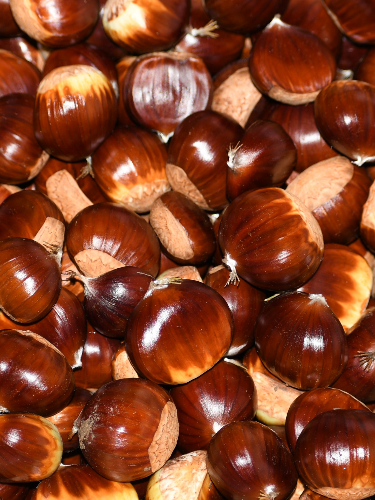 Eau de toilette Replica By the Fireplace MAISON MARGIELA