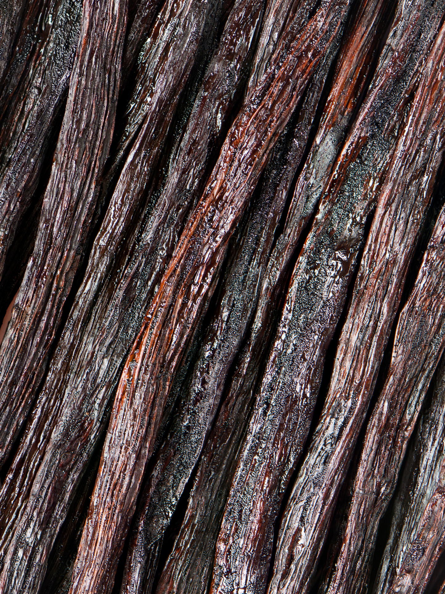 Eau de Toilette Afternoon Delight MARTIN MARGIELA