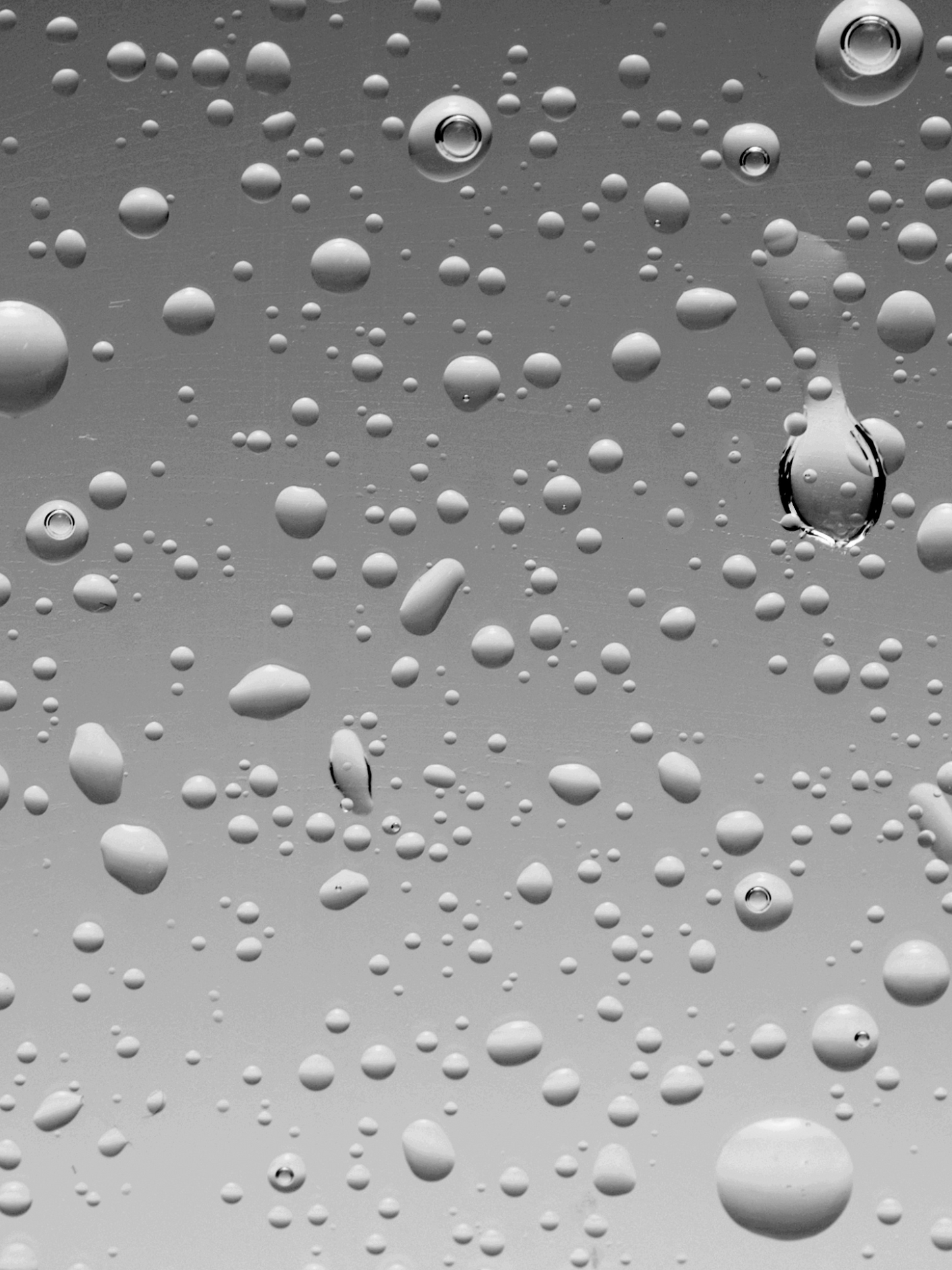 Eau Nettoyante Enzymatique MY BLEND