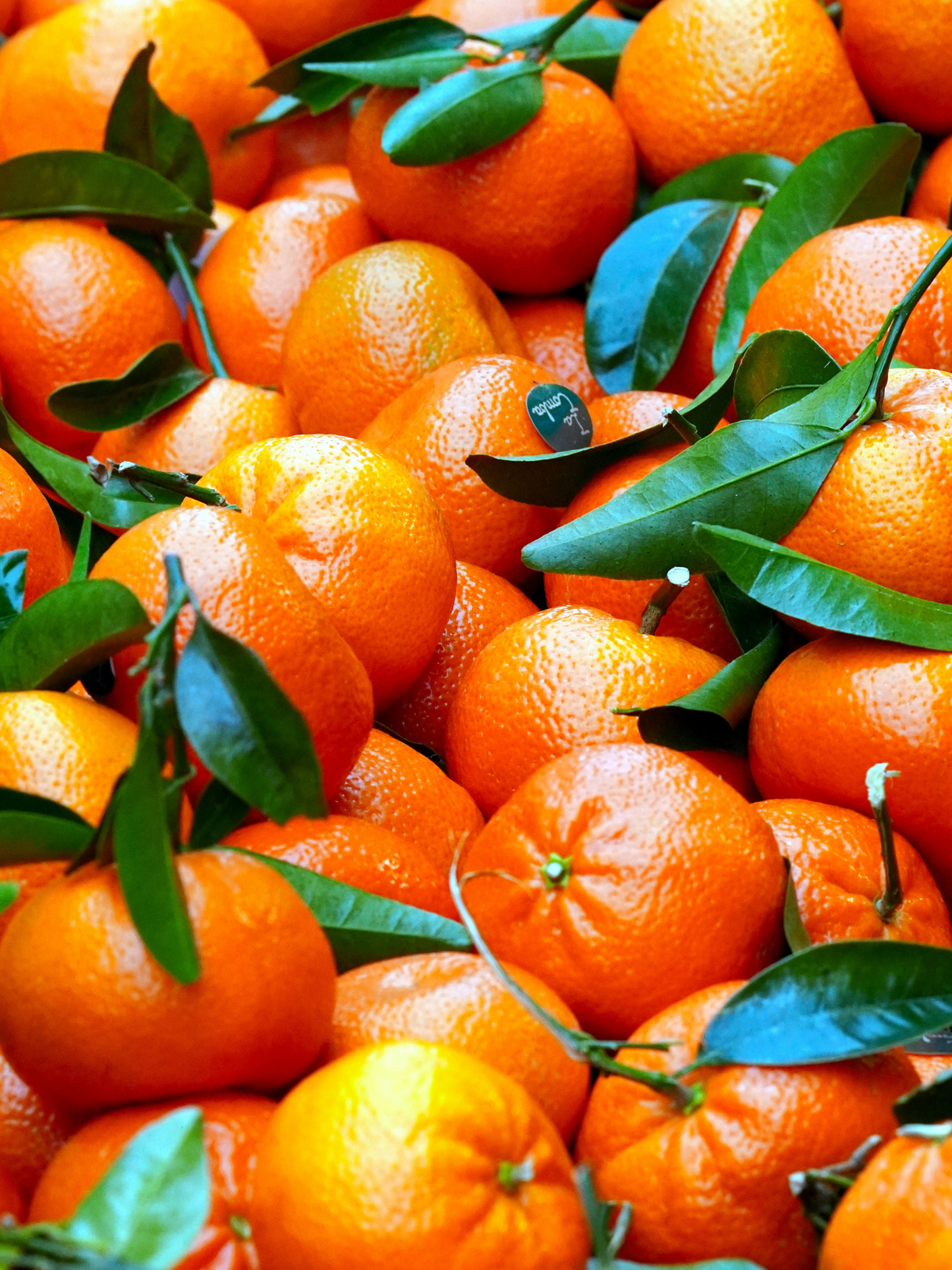 Eau de parfum YMC LE BON PARFUMEUR