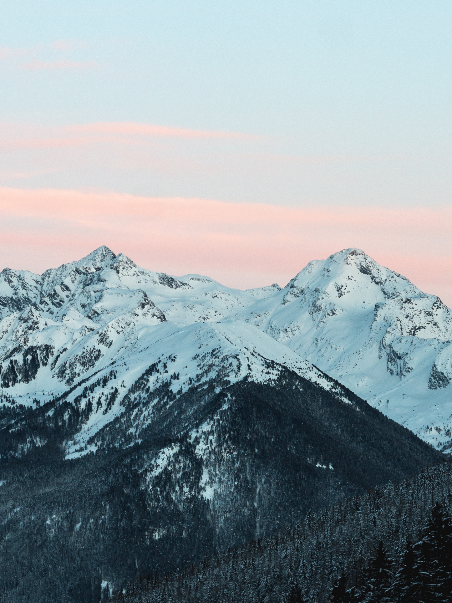 Bougie Bosco ACQUA DI PARMA