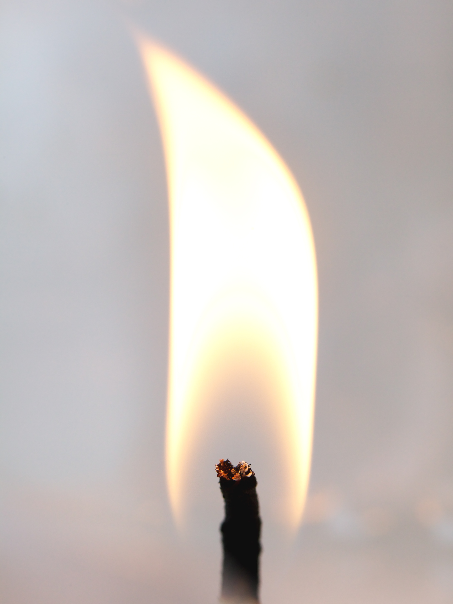 Bougies de la madeleine TRUDON