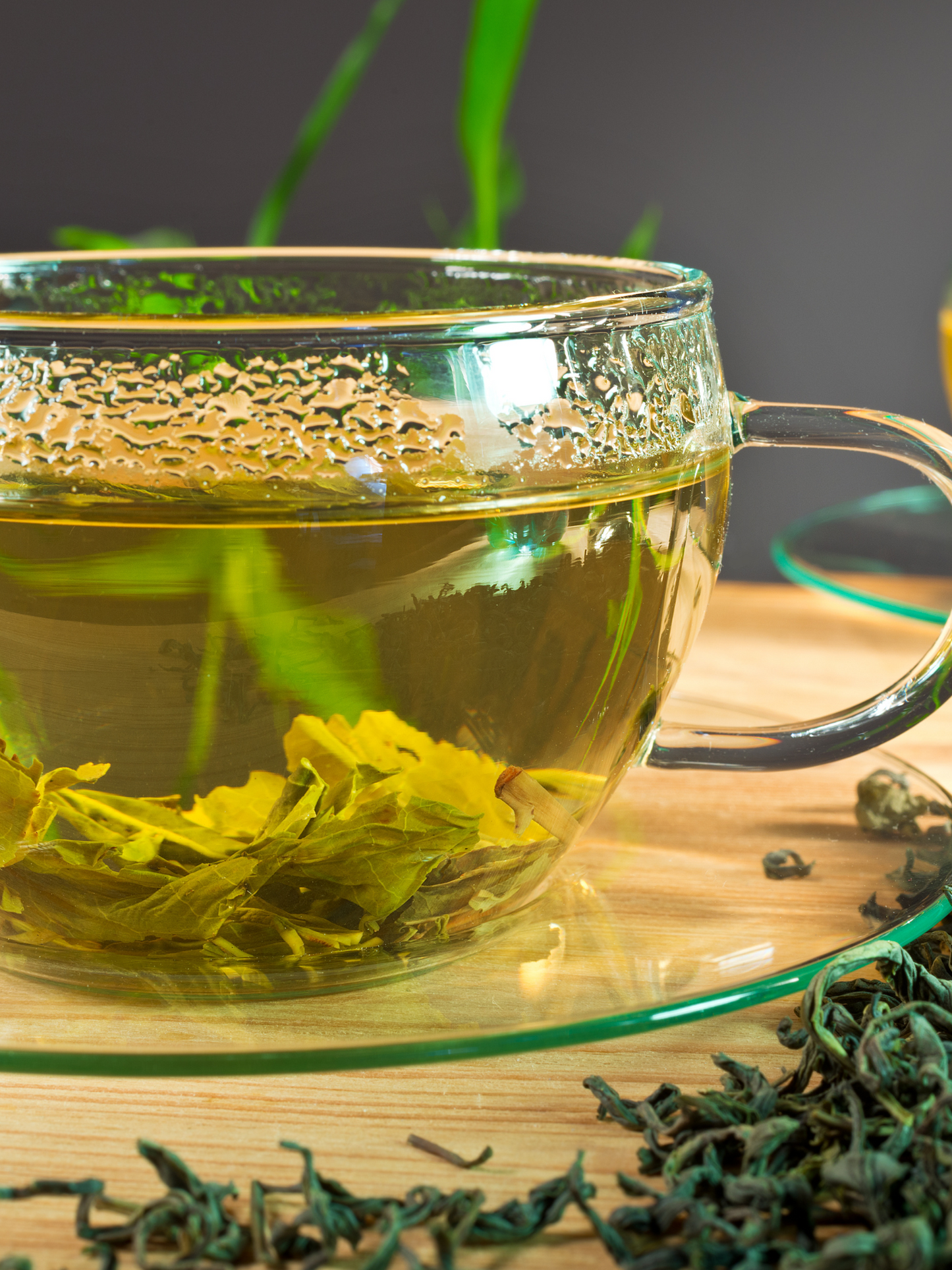 Eau de toilette Replica Under the Lemon Trees MAISON MARGIELA