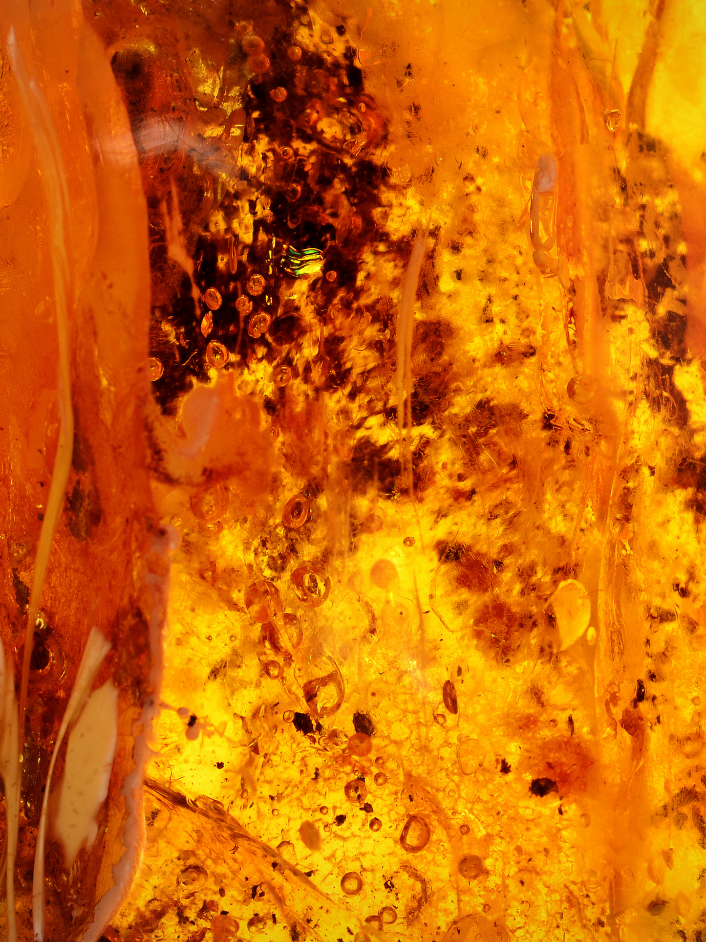 Eau de parfum 301 LE BON PARFUMEUR