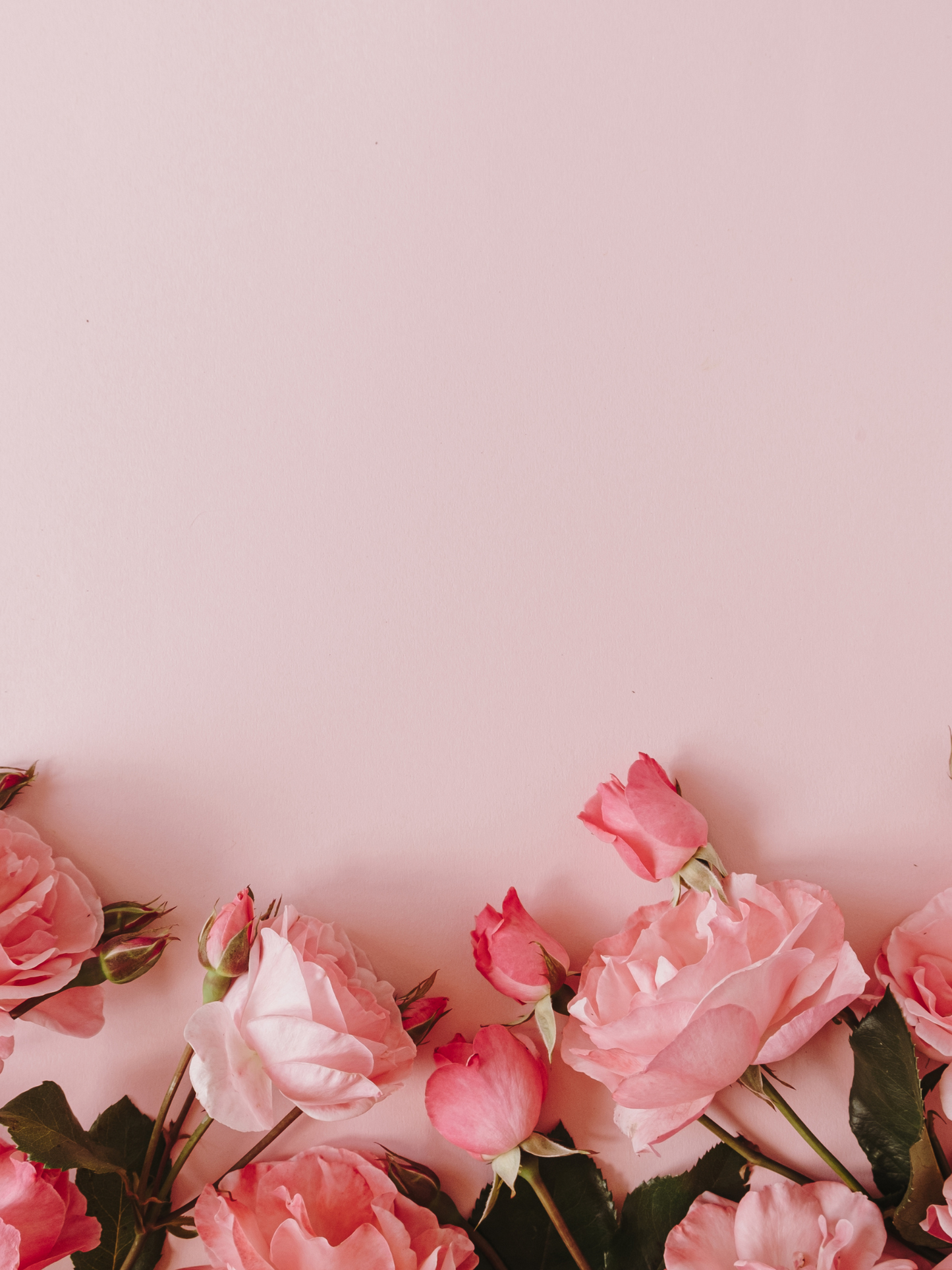 Eau de parfum 101 LE BON PARFUMEUR