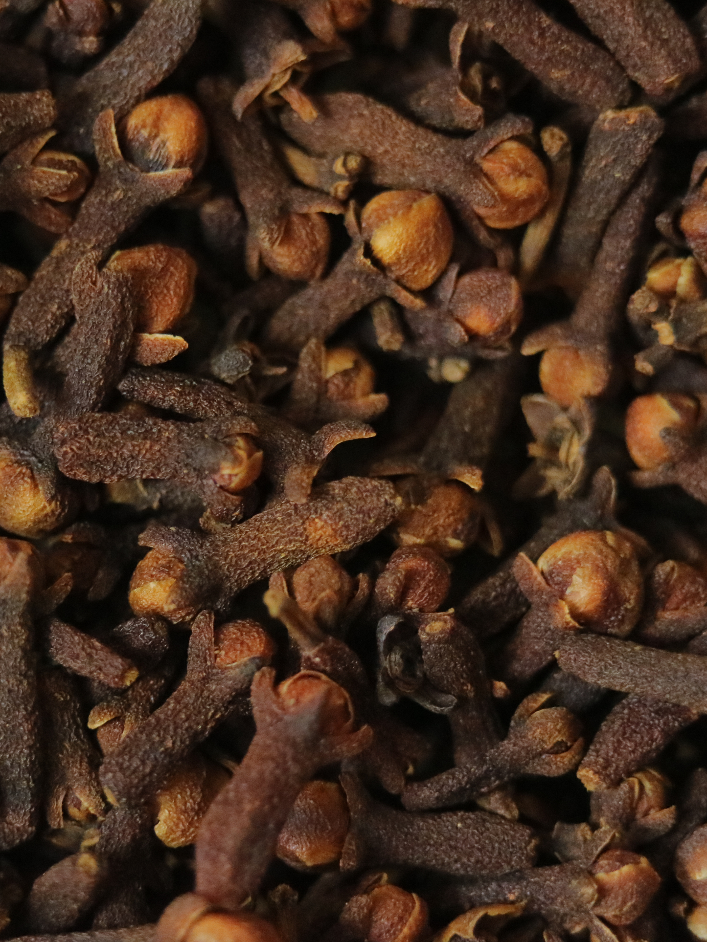 Bougie Nazareth TRUDON