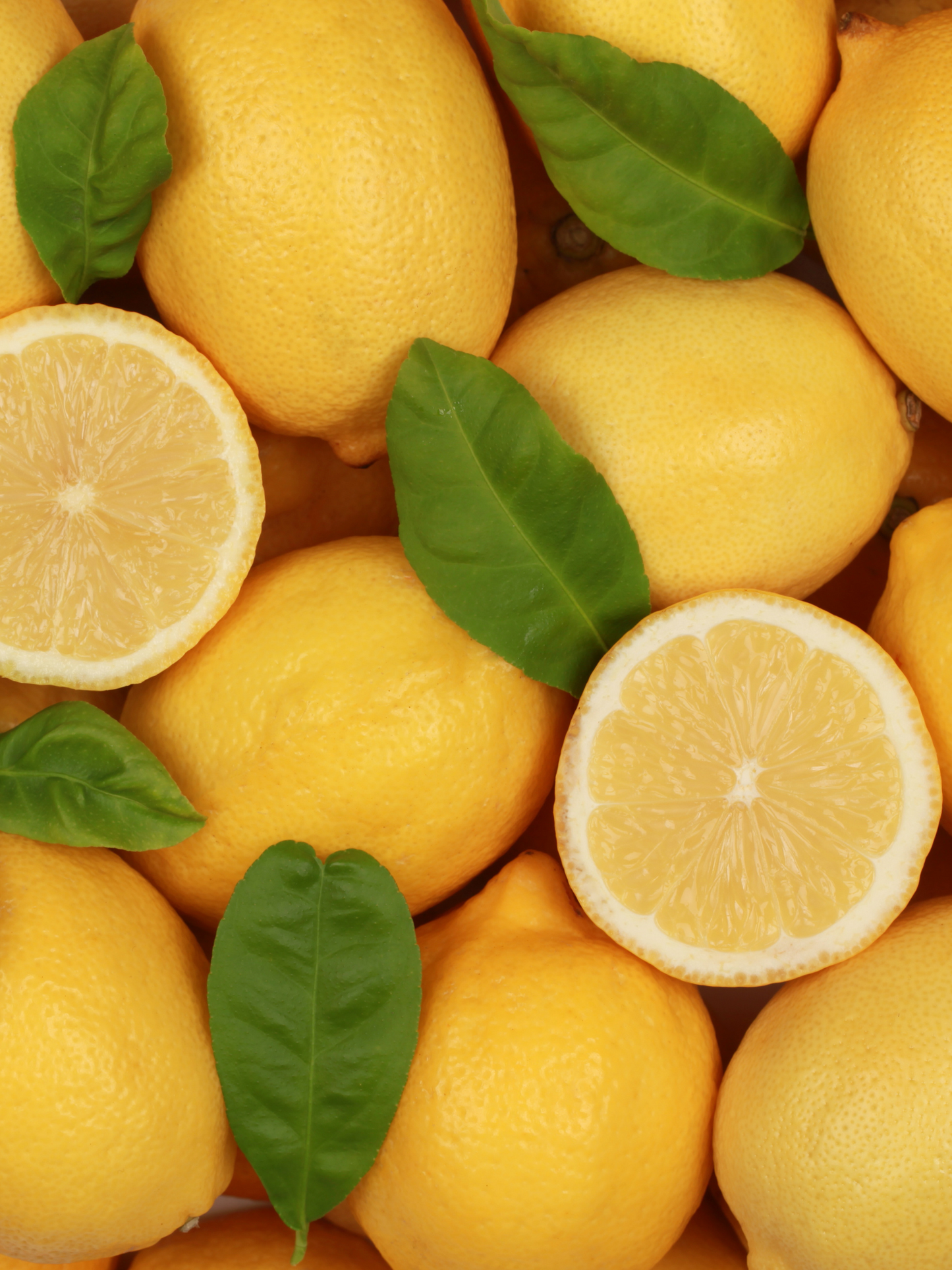 Eau de parfum Citrus Riviera BDK