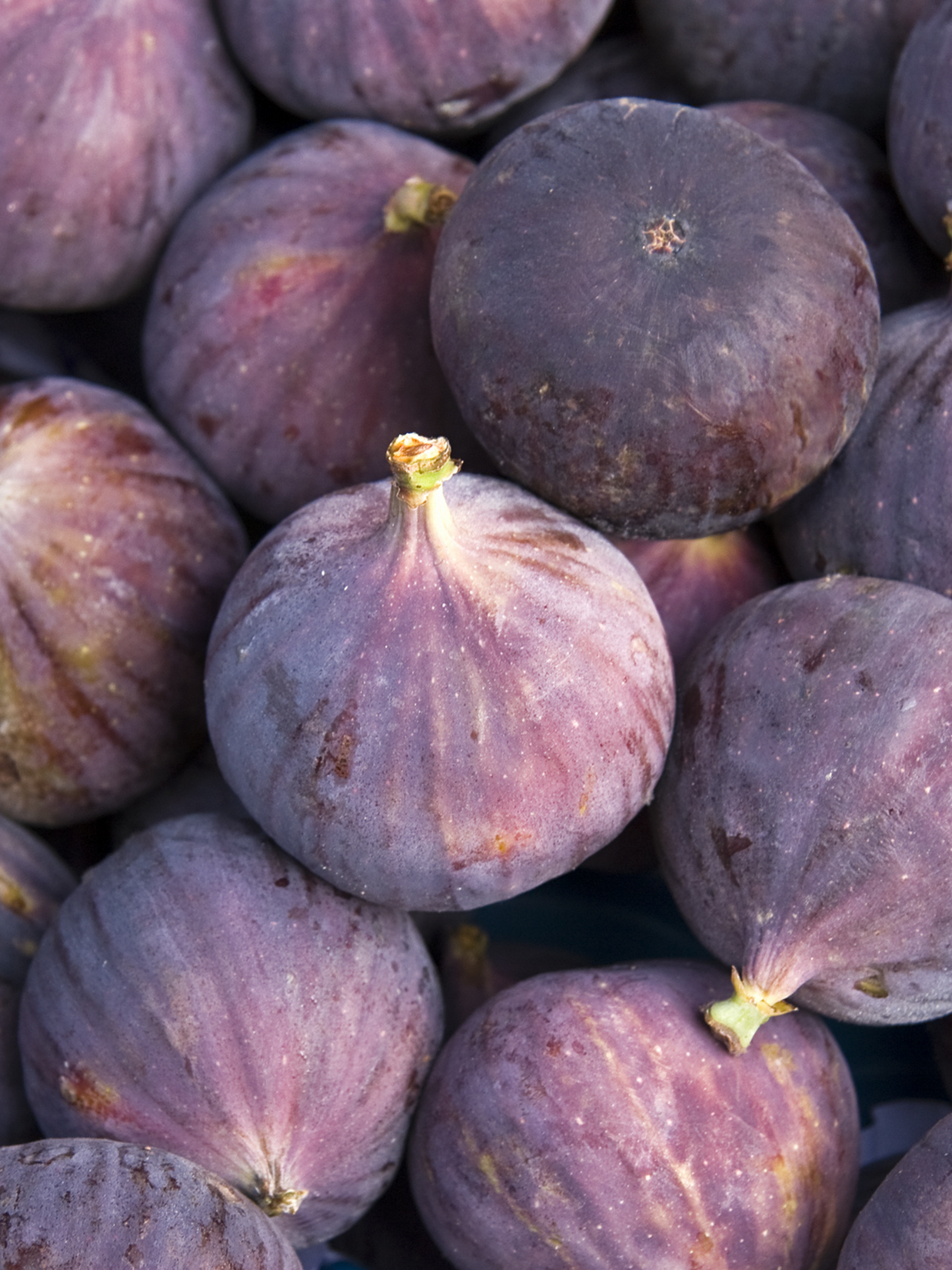 Parfum d’Interieur " Colette" JARDINS D'ÉCRIVAINS