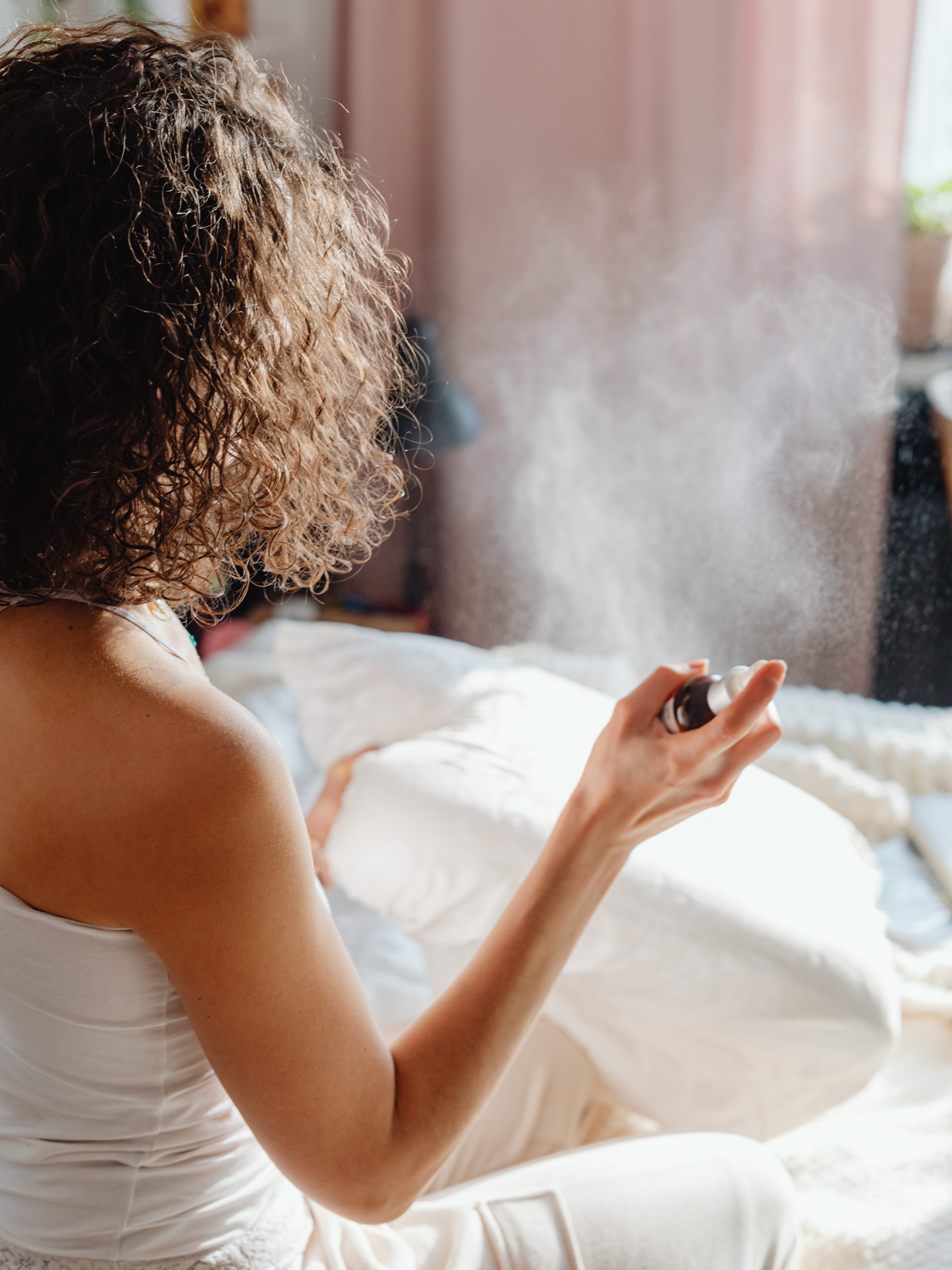 La Brume Systémique ABSOLUTION