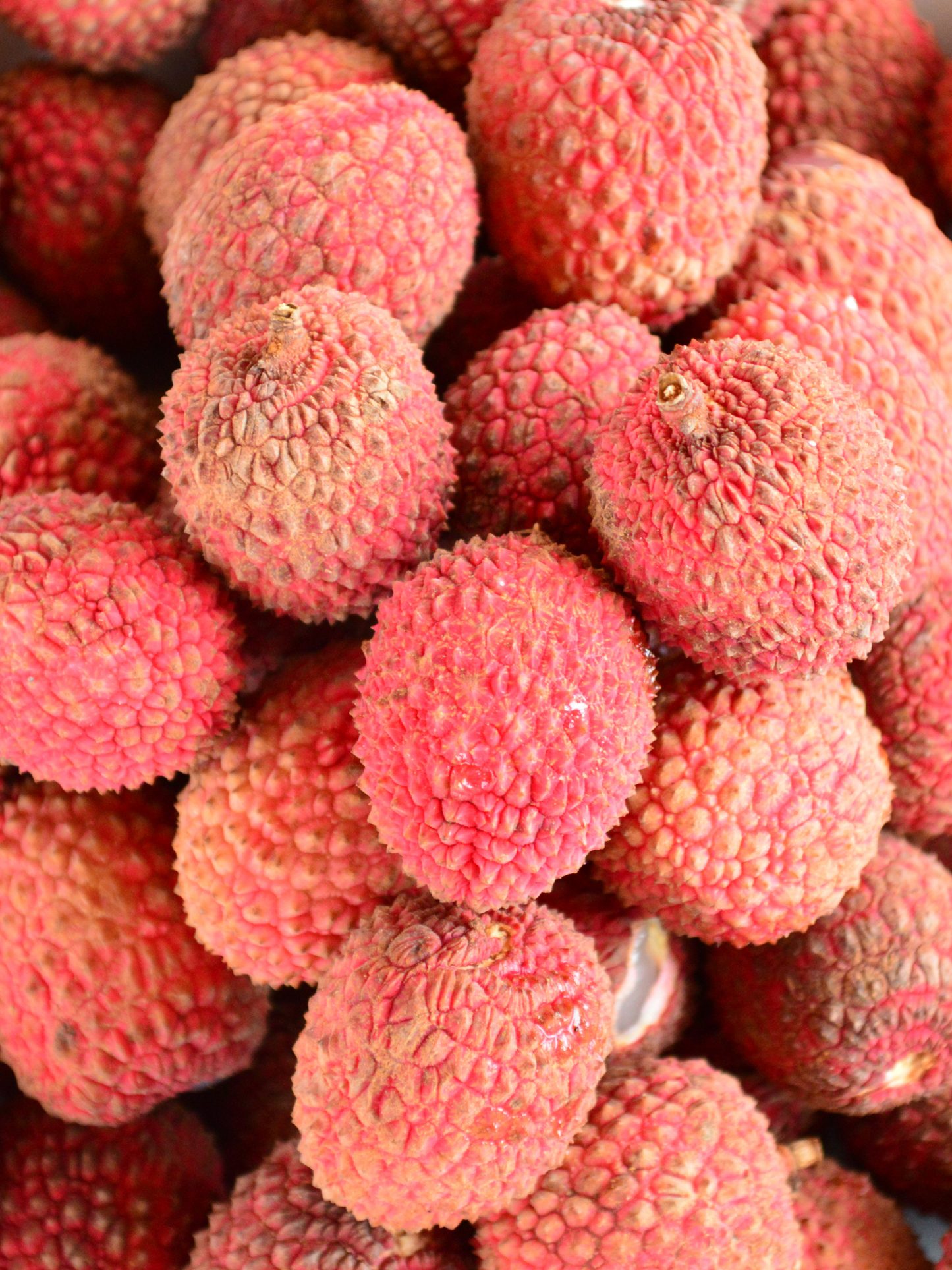 Brume d’Oreiller "Le Lit" JARDINS D'ÉCRIVAINS