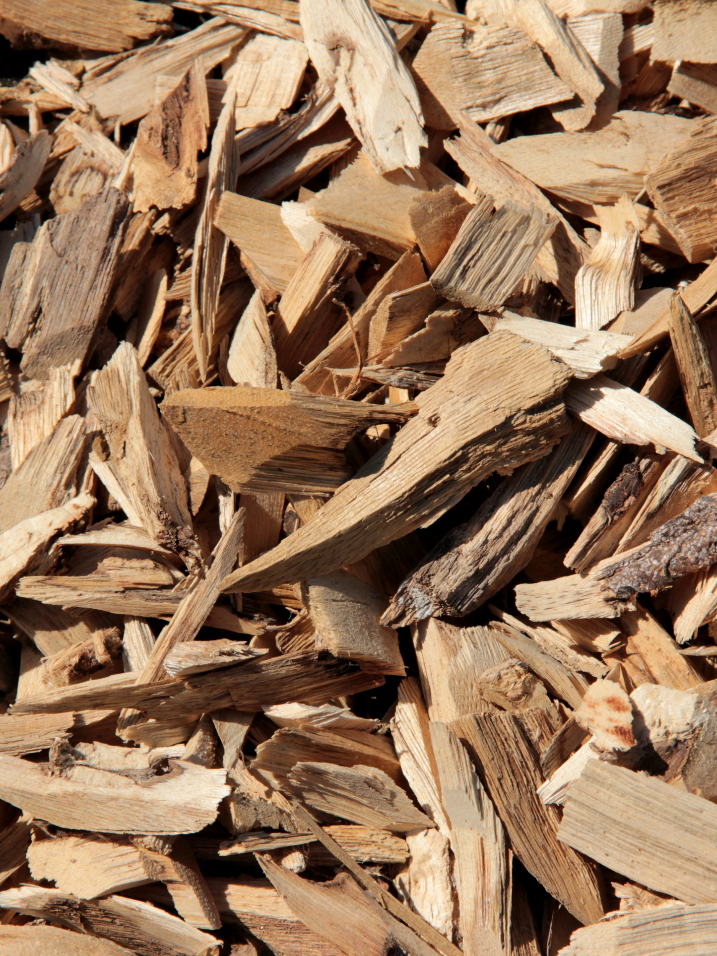 Eau de parfum The Night FRÉDÉRIC MALLE