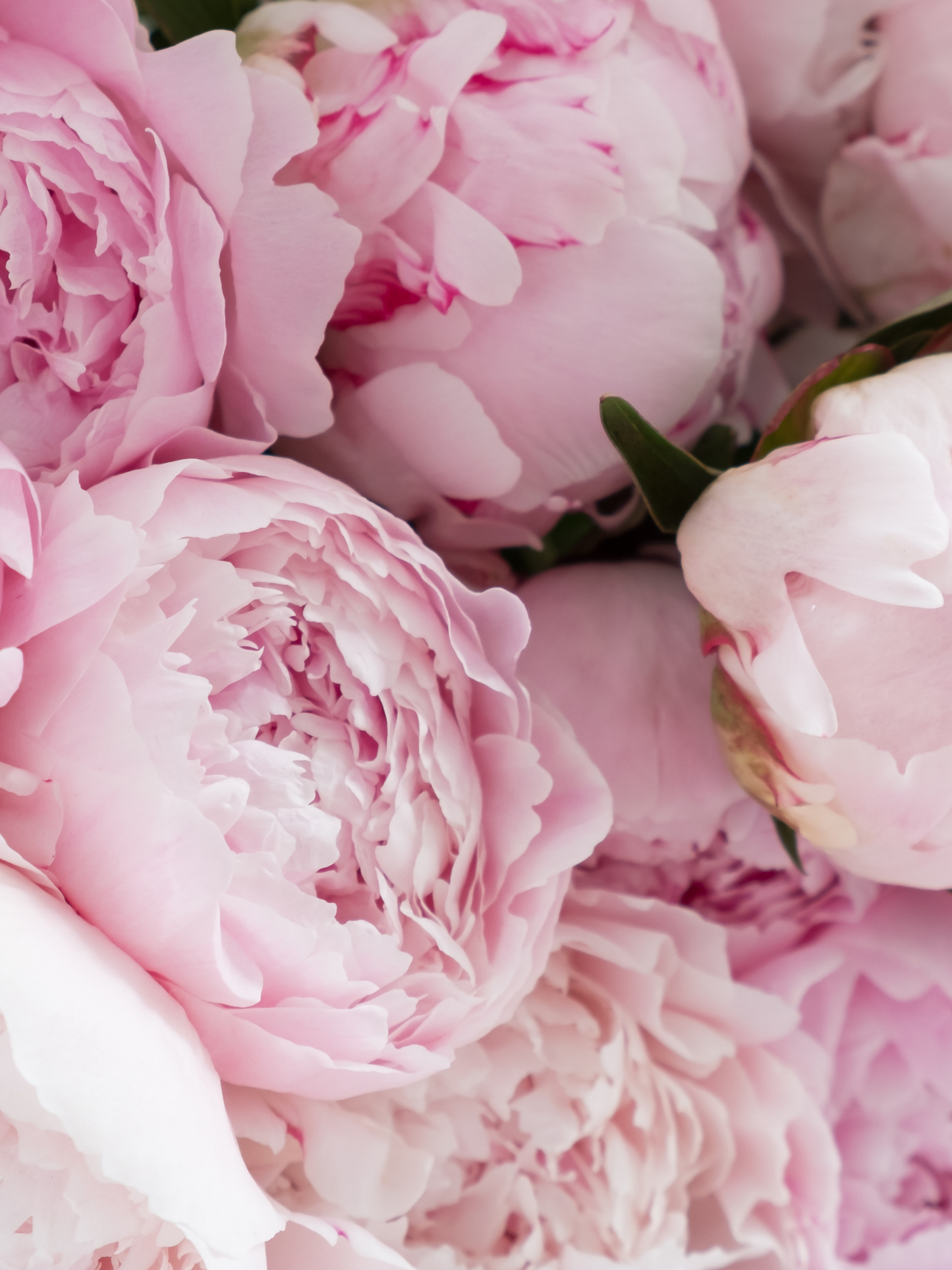 Eau de parfum 802 LE BON PARFUMEUR