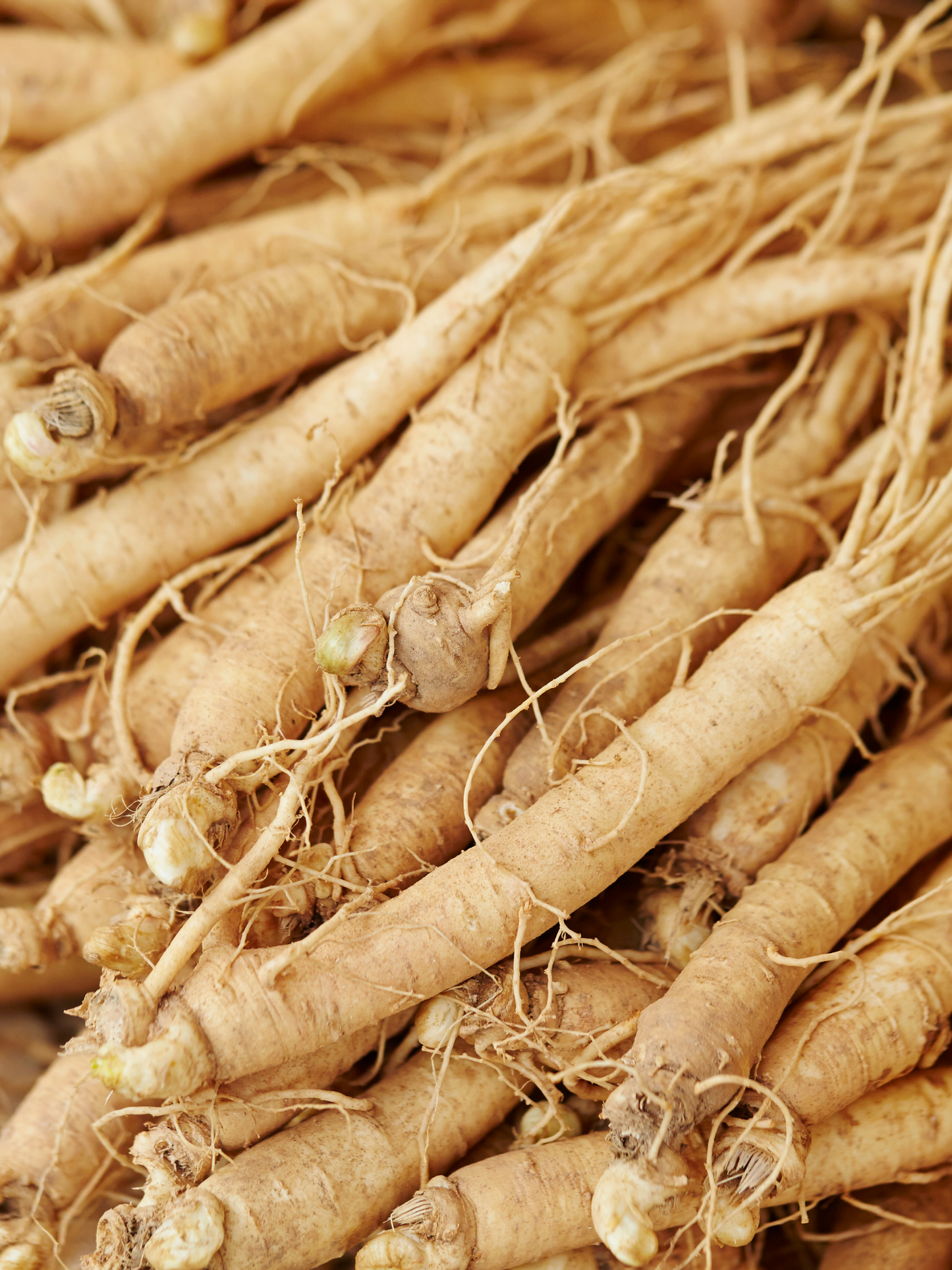 Essence Hydratante Ginseng BEAUTY OF JOSEON