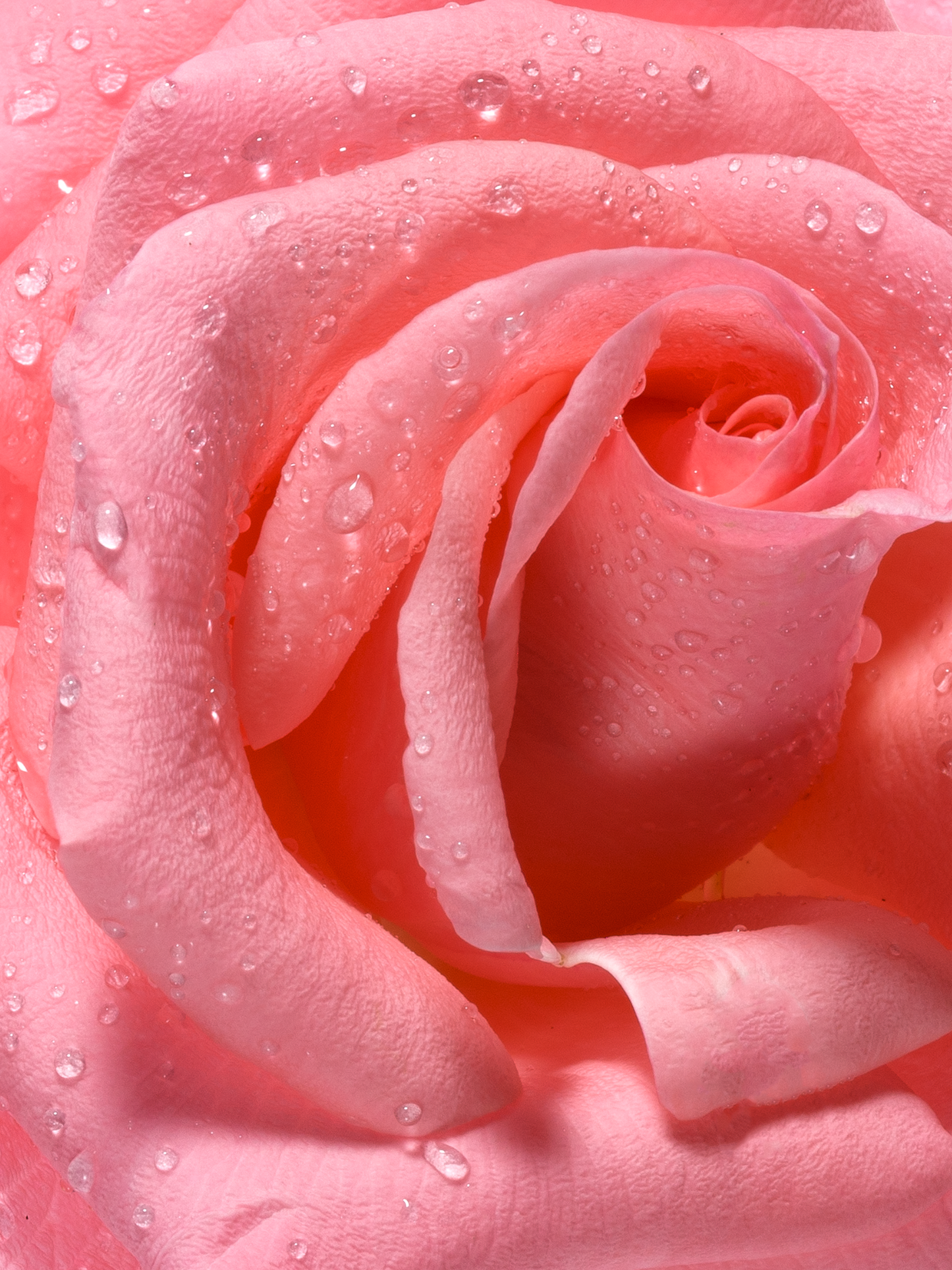 Splash Cologne "Windsor" JARDINS D'ÉCRIVAINS