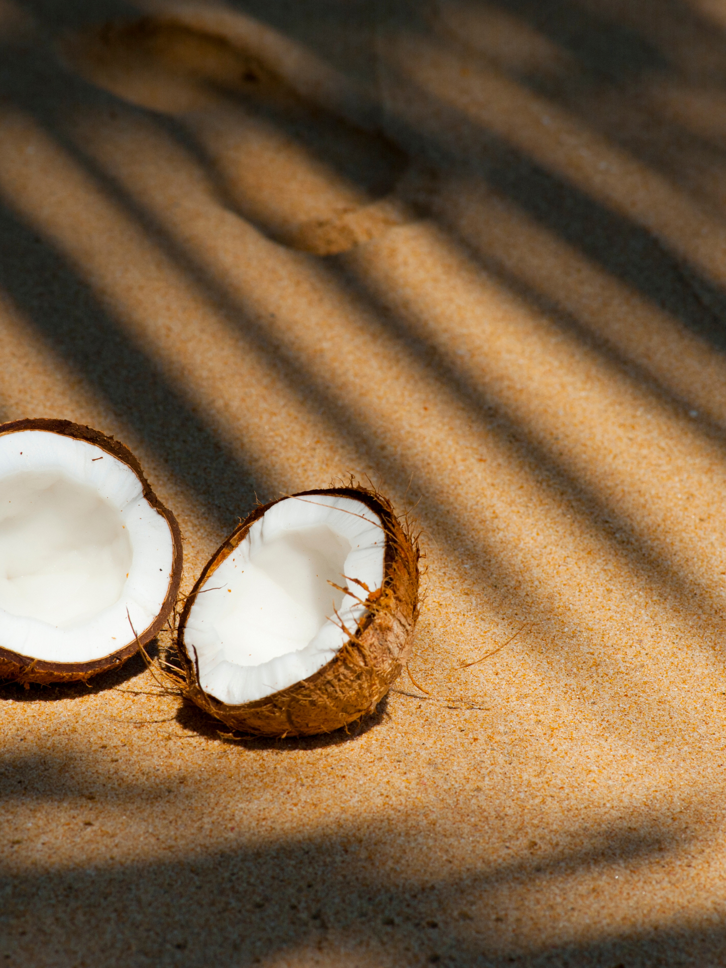 Lessive Gym Tonique KERZON