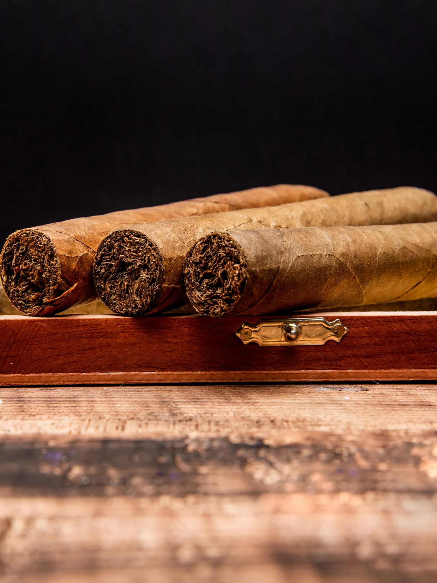 Diffuseur Ernesto TRUDON