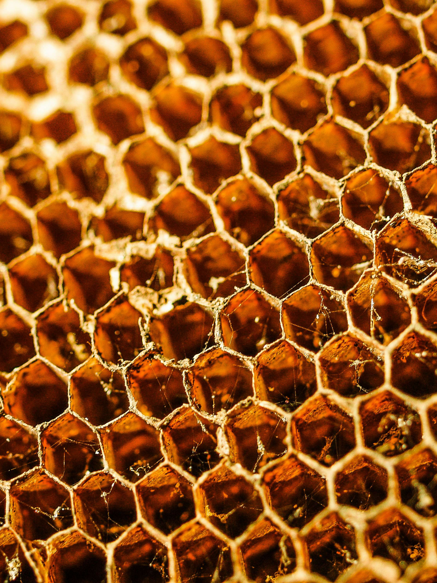 Eau de parfum Kasbah 19-69