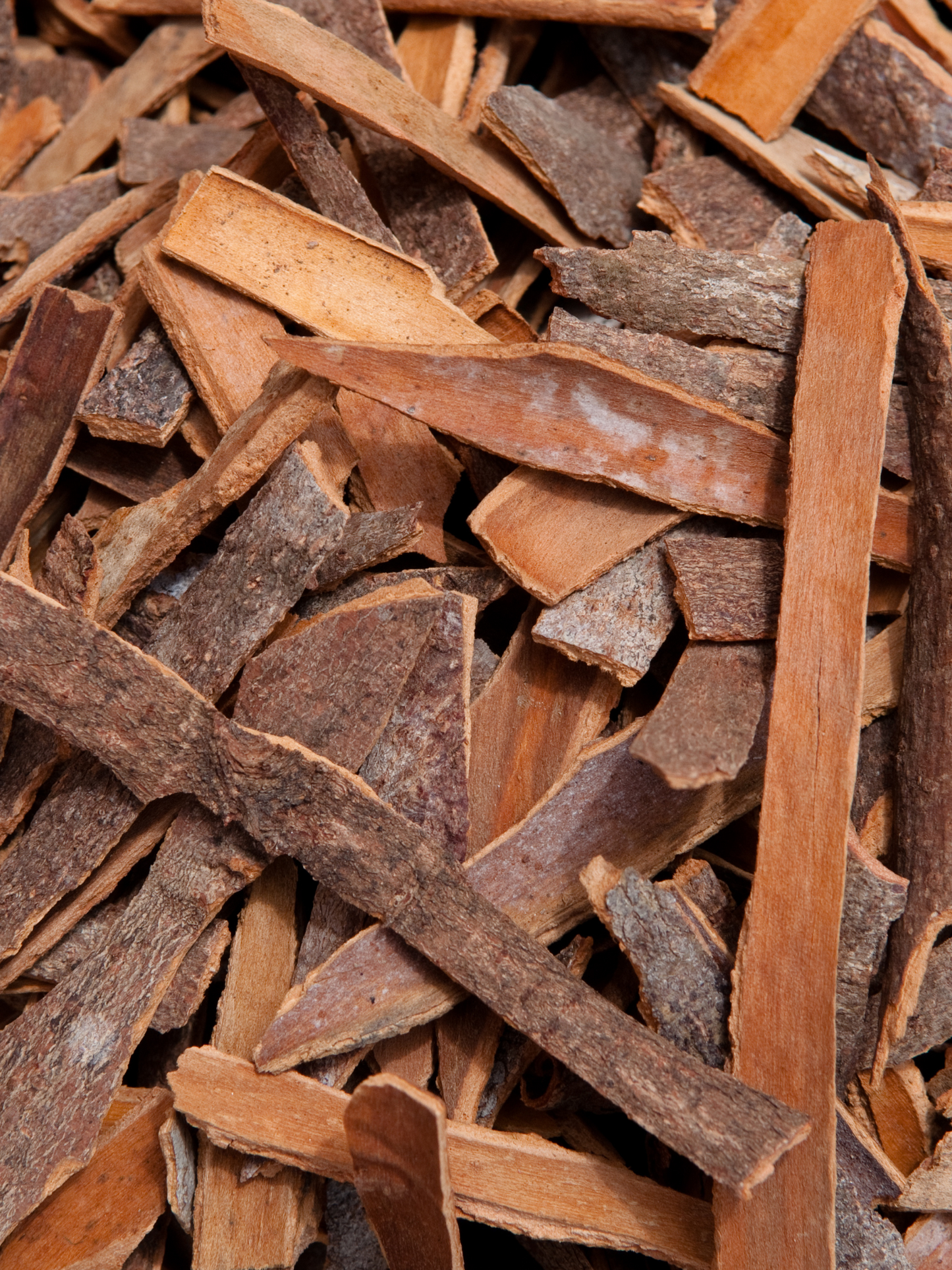 Eau de parfum Female Christ 19-69