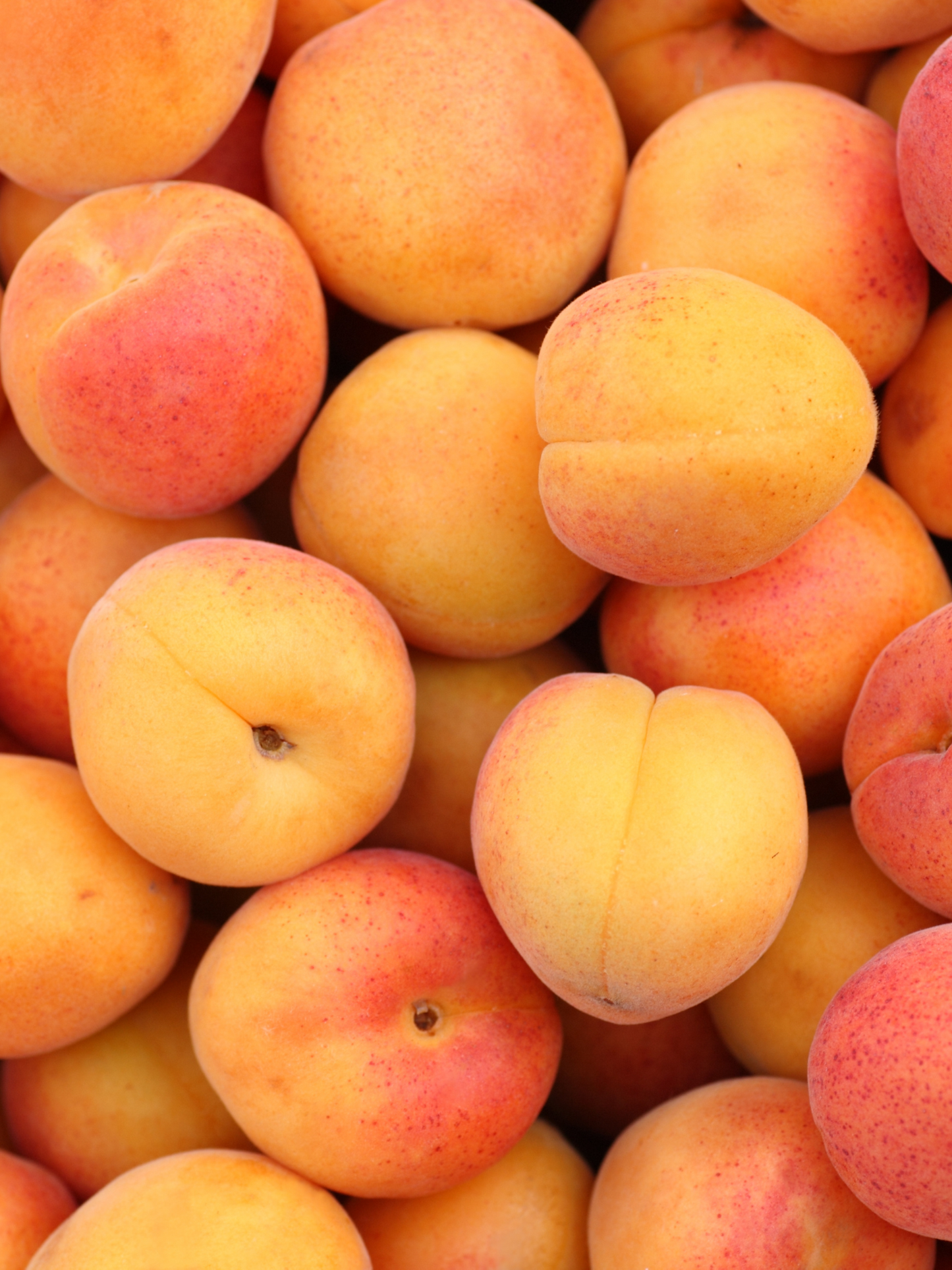 Baume mains DIPTYQUE