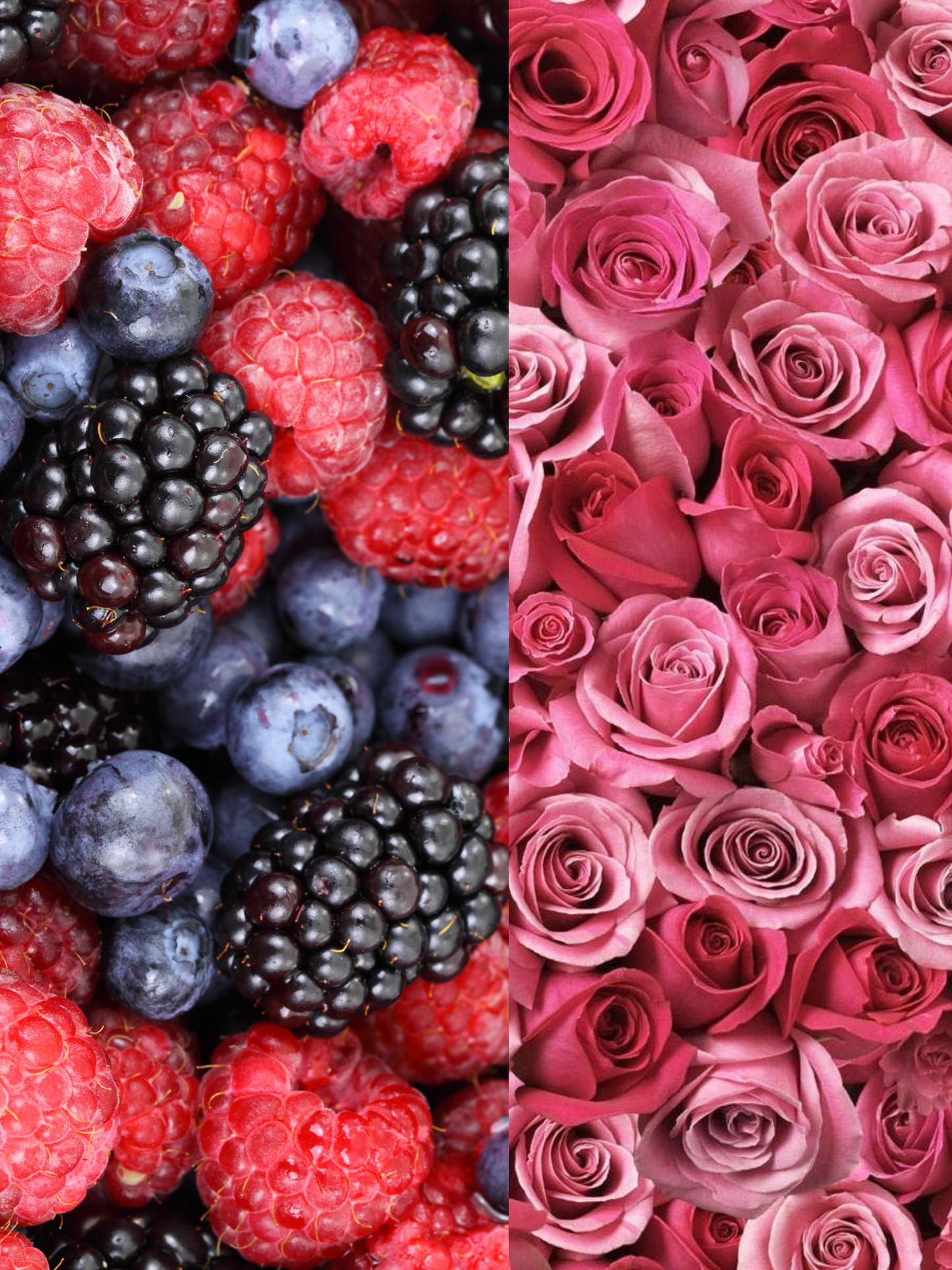 Bougie duo Baies & Roses DIPTYQUE (édition Saint-Valentin)