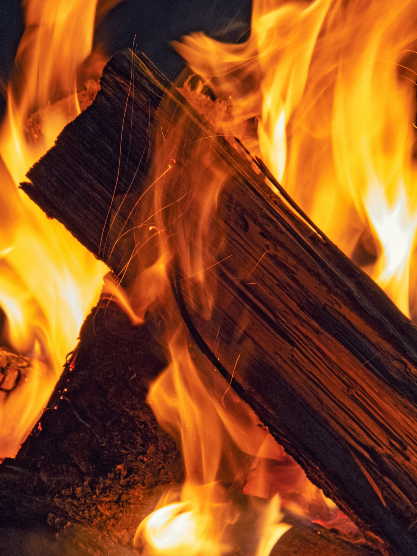 Bougie Feu de bois DIPTYQUE