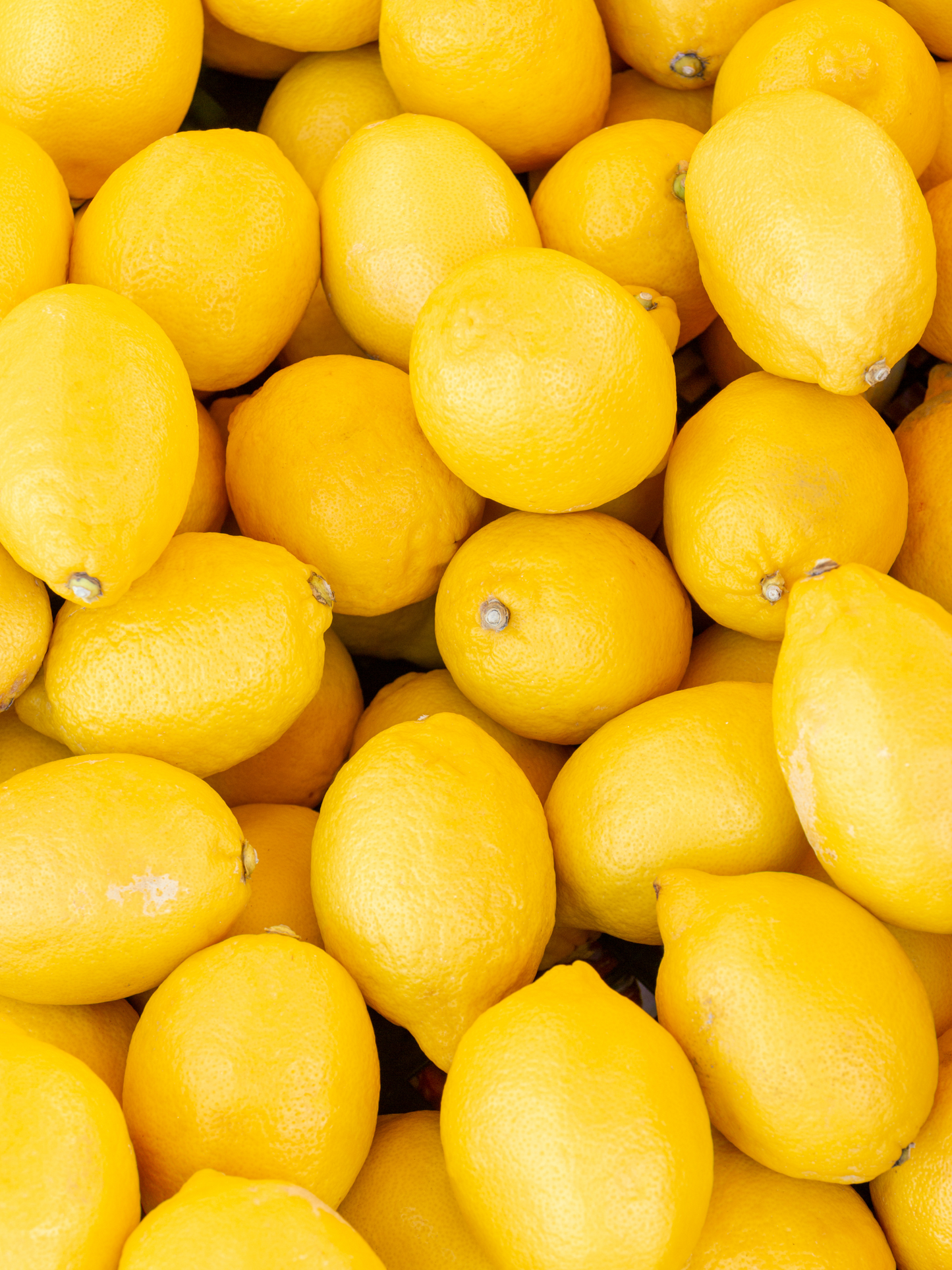 Huile pour les lèvres Diptyque x Susanne Kaufmann