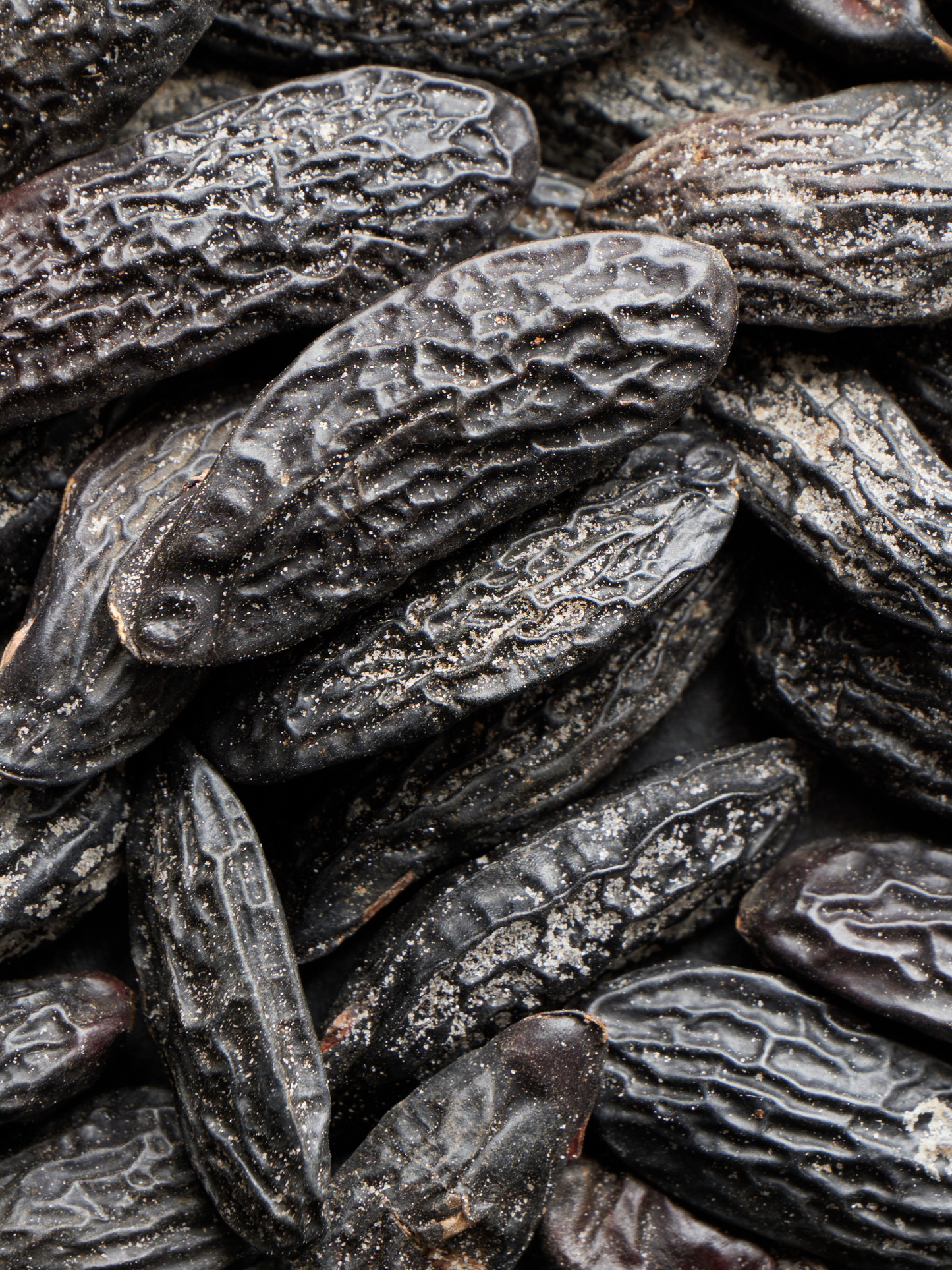 Parfum solide Orphéon DIPTYQUE