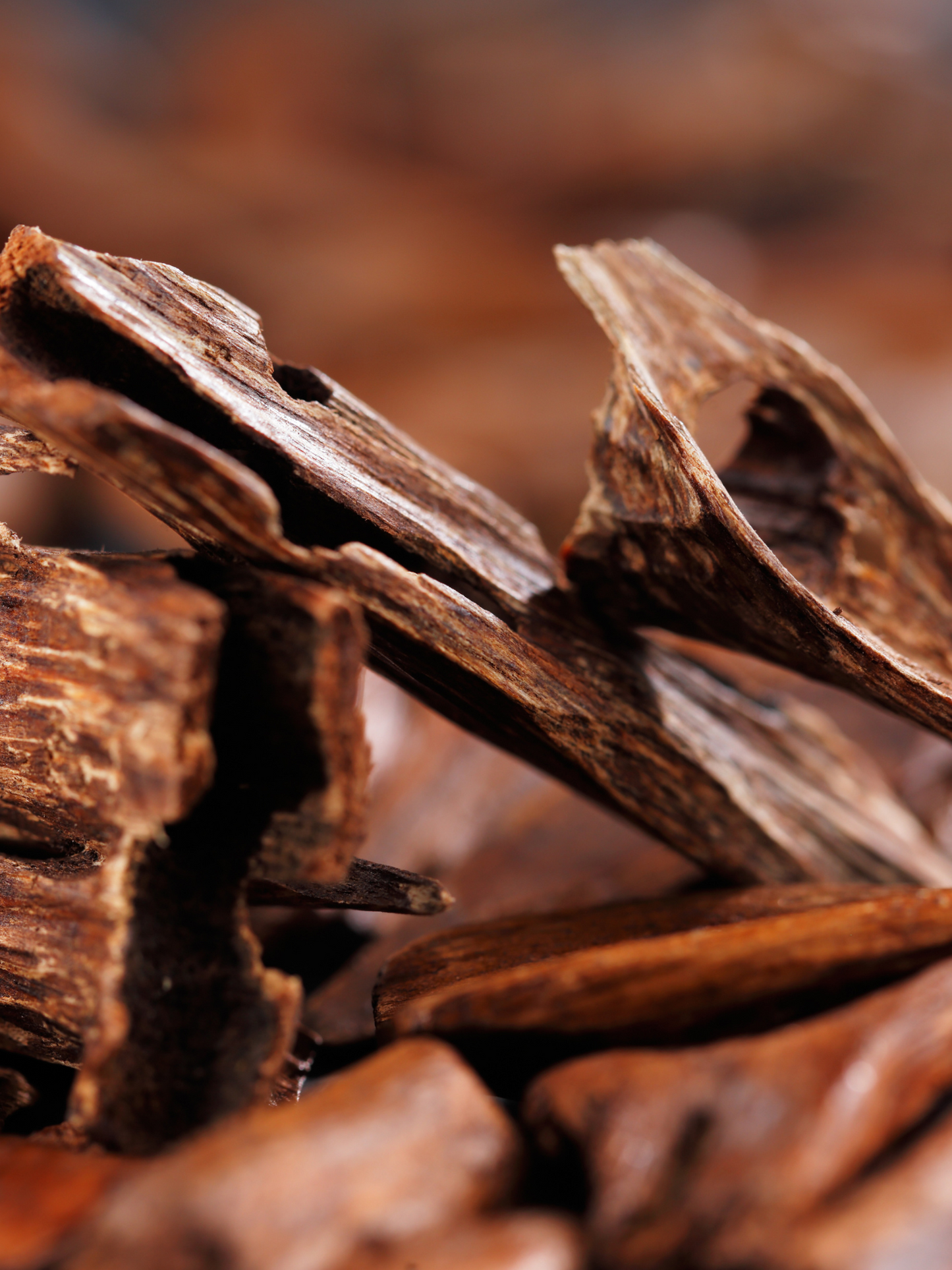 Eau de parfum Oud Palao DIPTYQUE