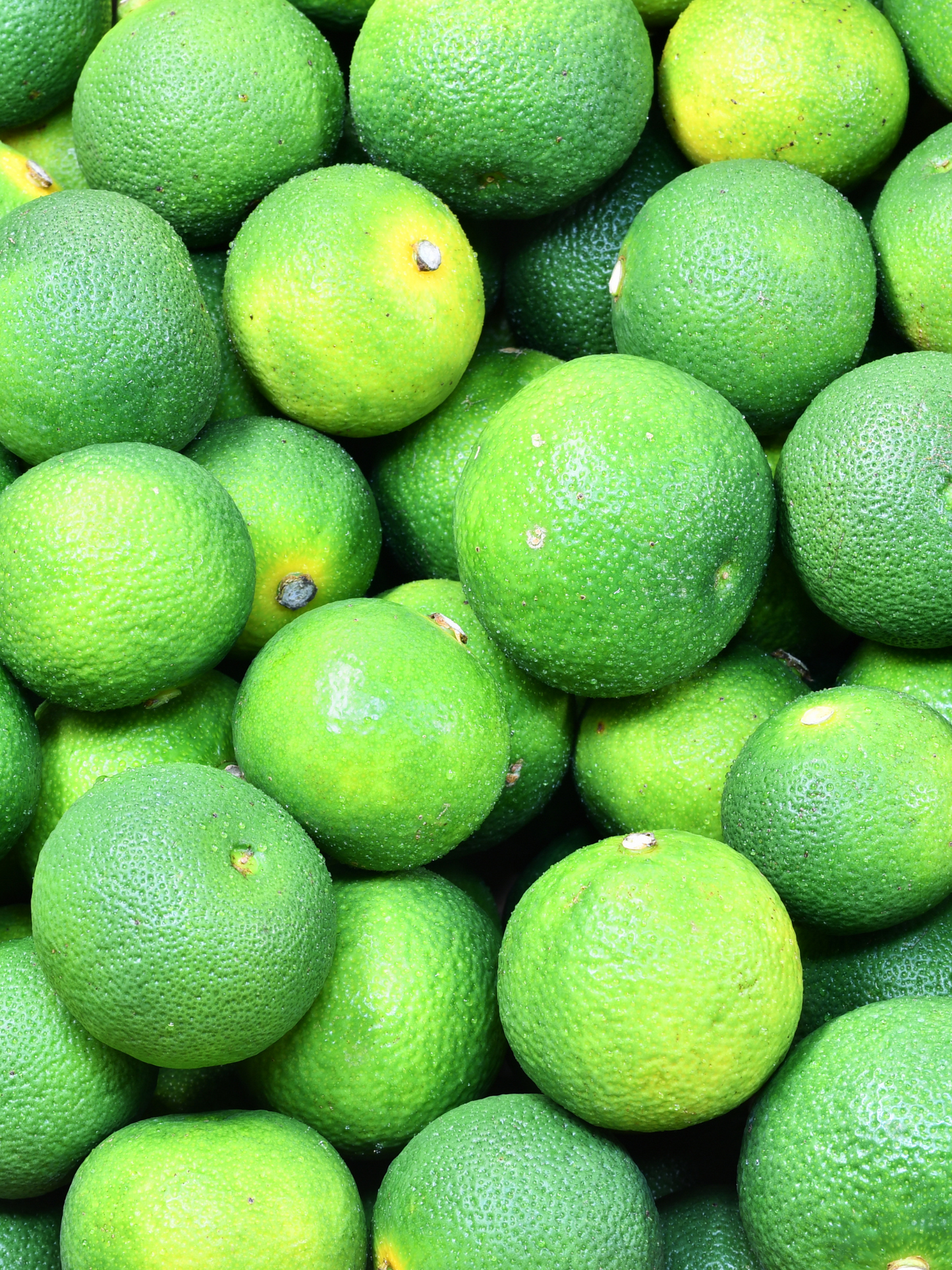 Eau de toilette Oyédo DIPTYQUE