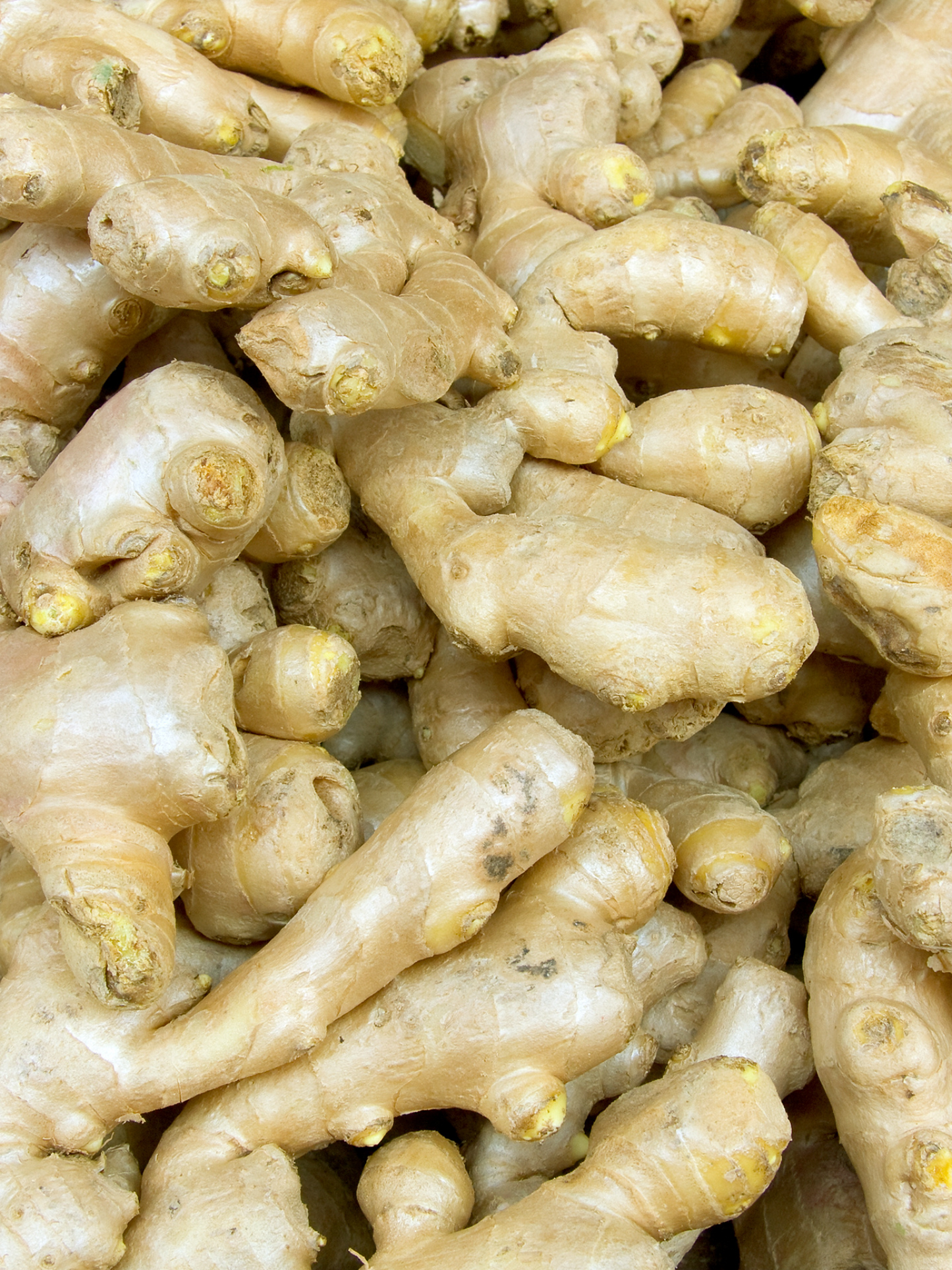 Vaporisateur Gingembre DIPTYQUE