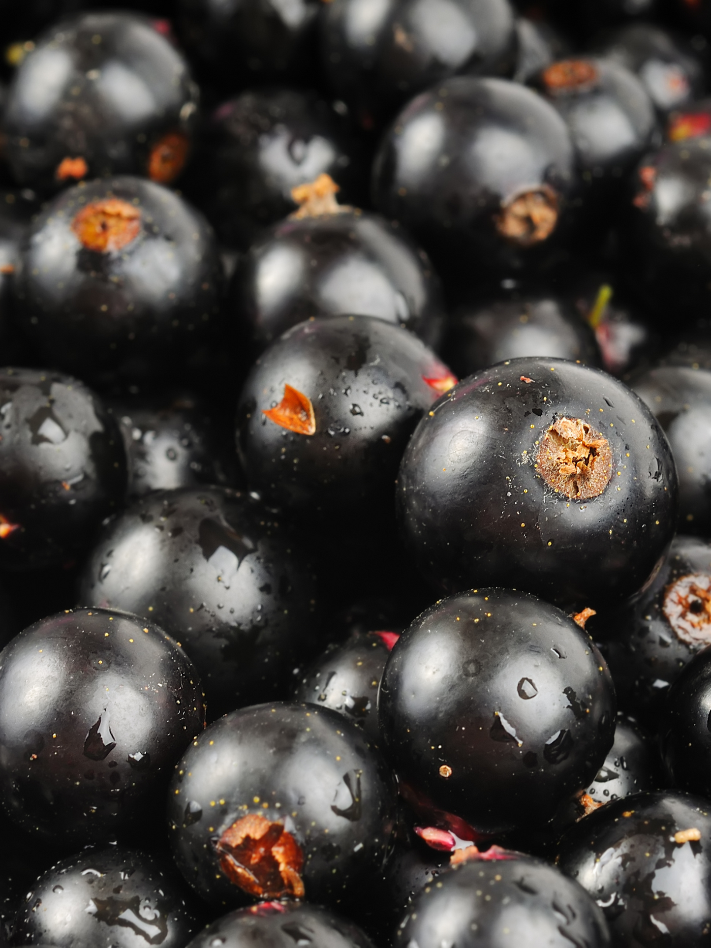 Vaporisateur 34 Boulevard Saint-Germain DIPTYQUE