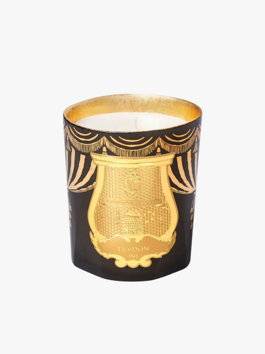 Bougie Fir TRUDON