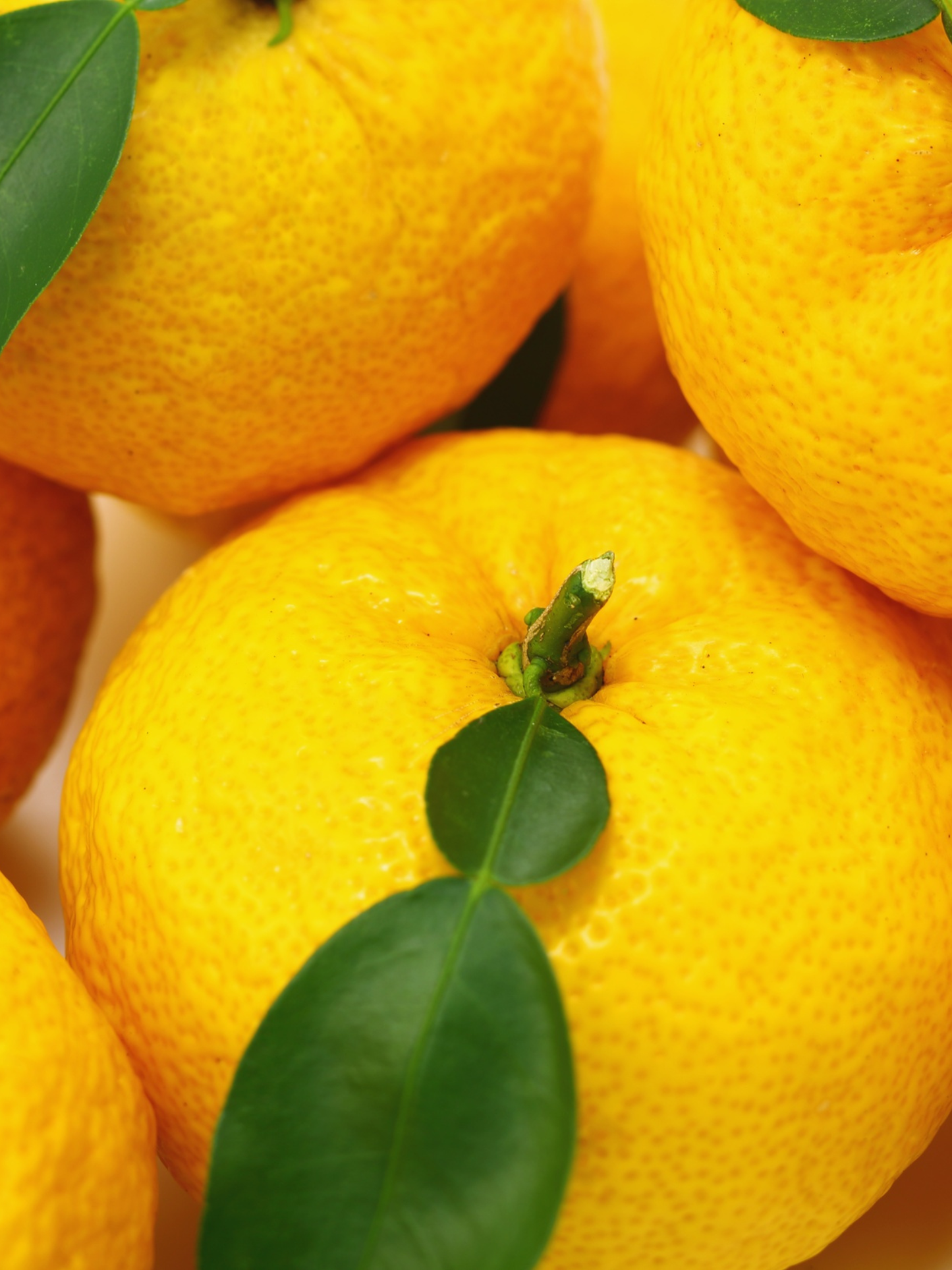 Diffuseur de parfum Yuzu CARRIÈRE FRÈRES