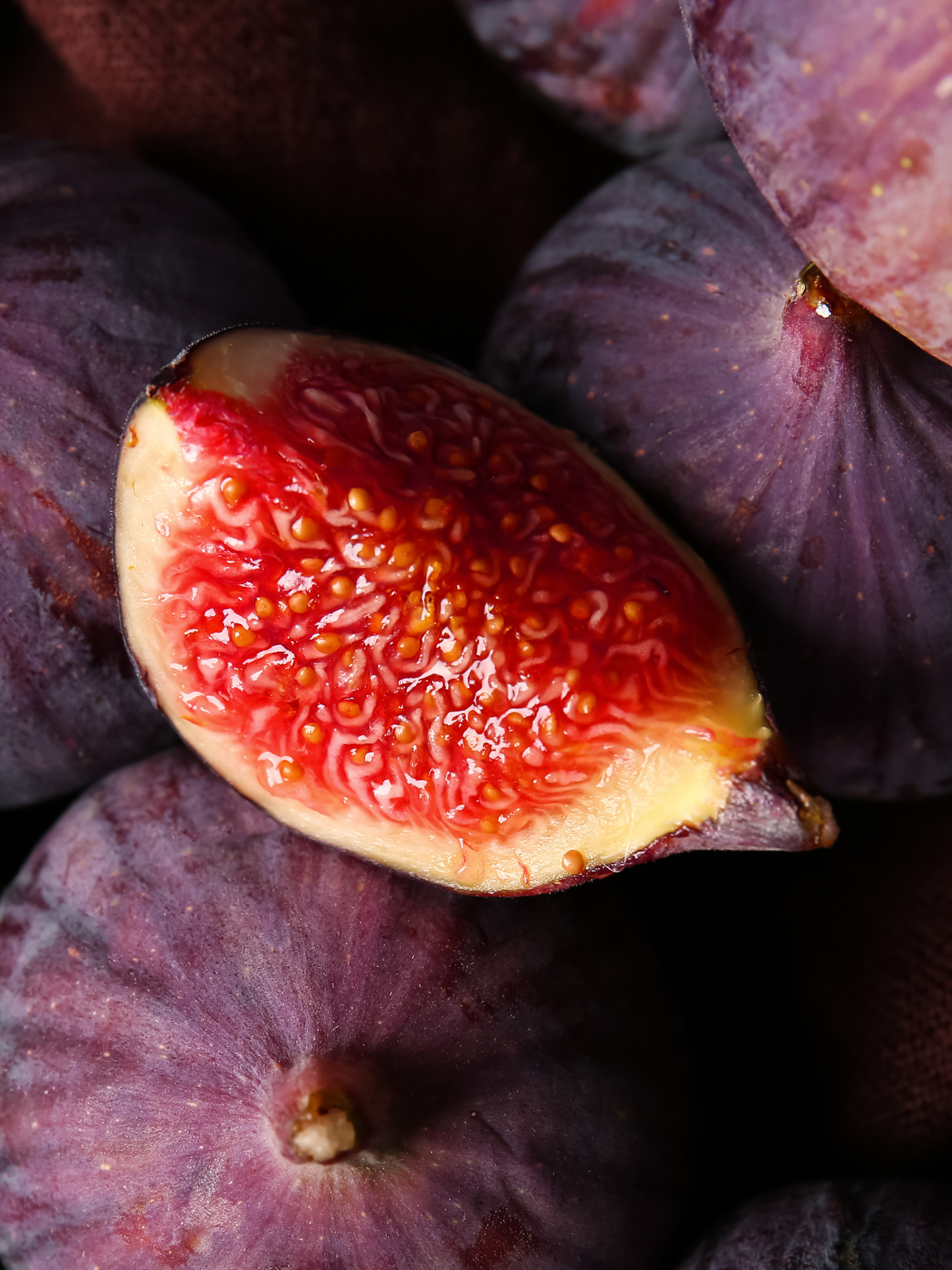 Bougie Figuerie TRUDON