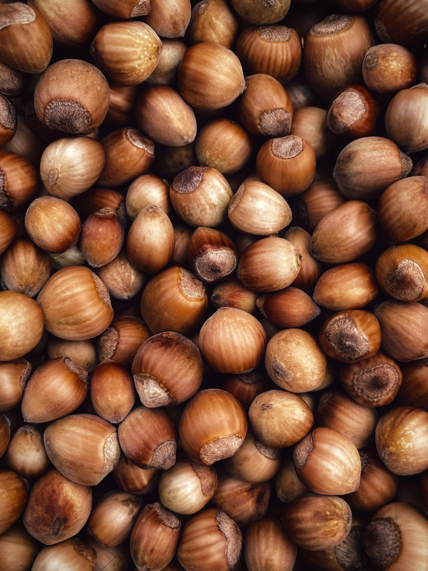 Huile visage Noisette Des Vosges ODEN