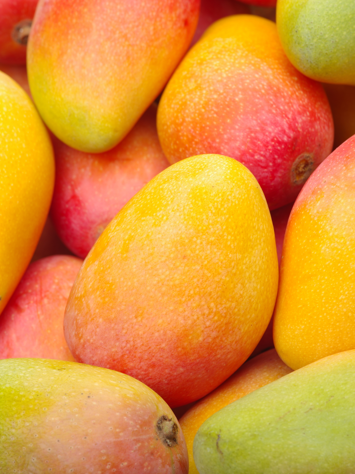 Eau de Toilette Chasing Sunsets MAISON MARGIELA