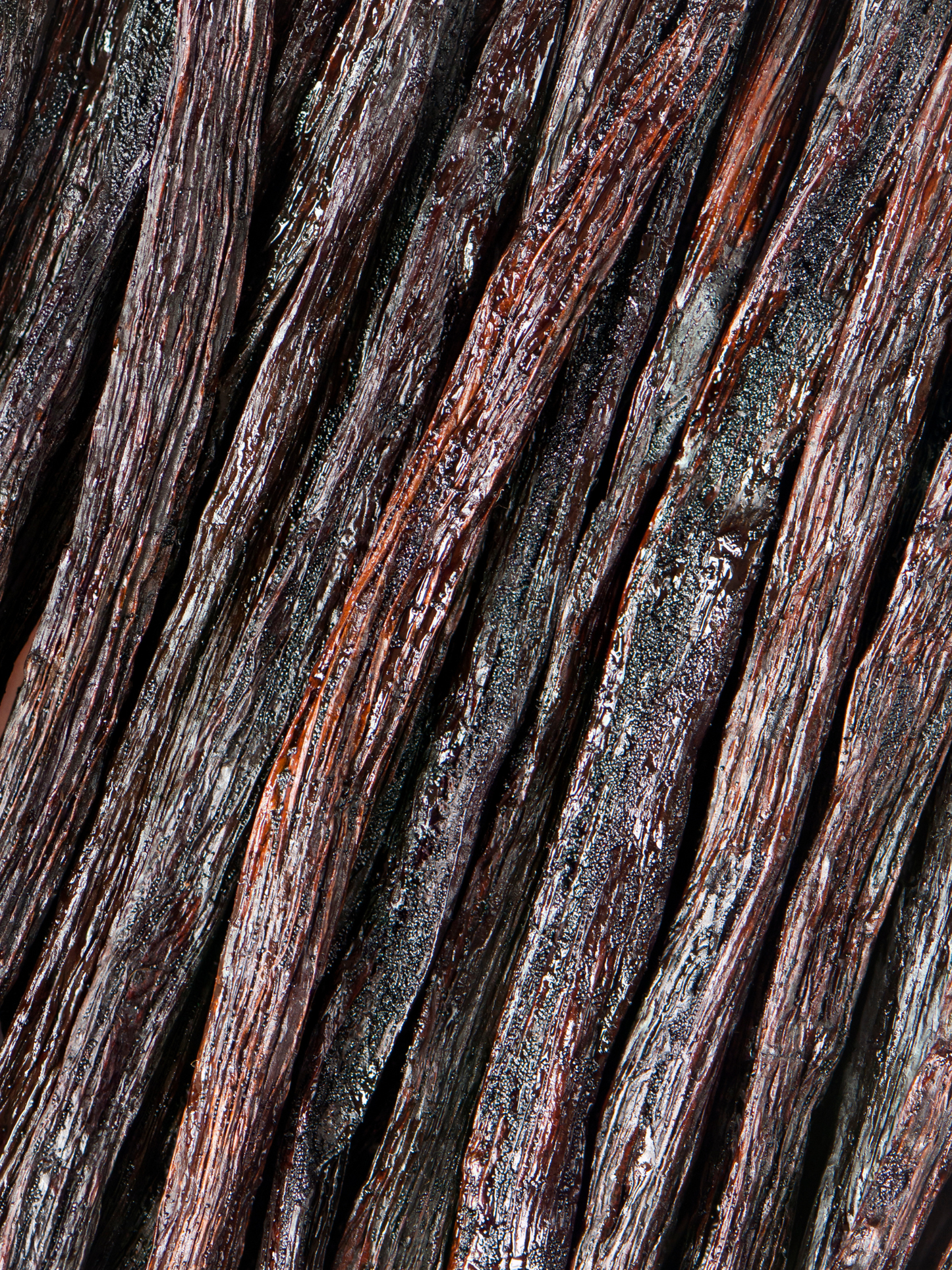 Lotion corps & mains Vanilla Powder MATIERE PREMIERE