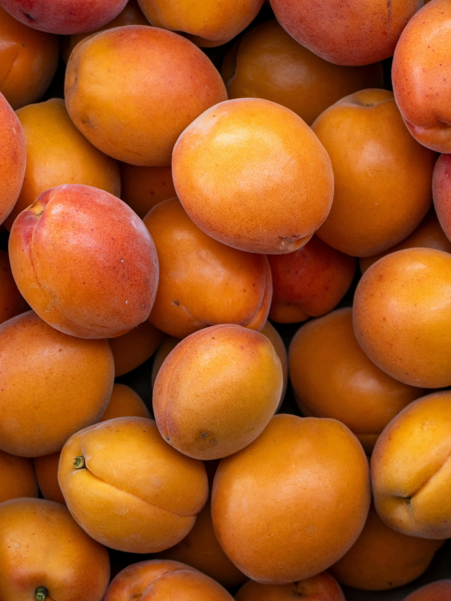 Baume bonne mine Abricot ODEN