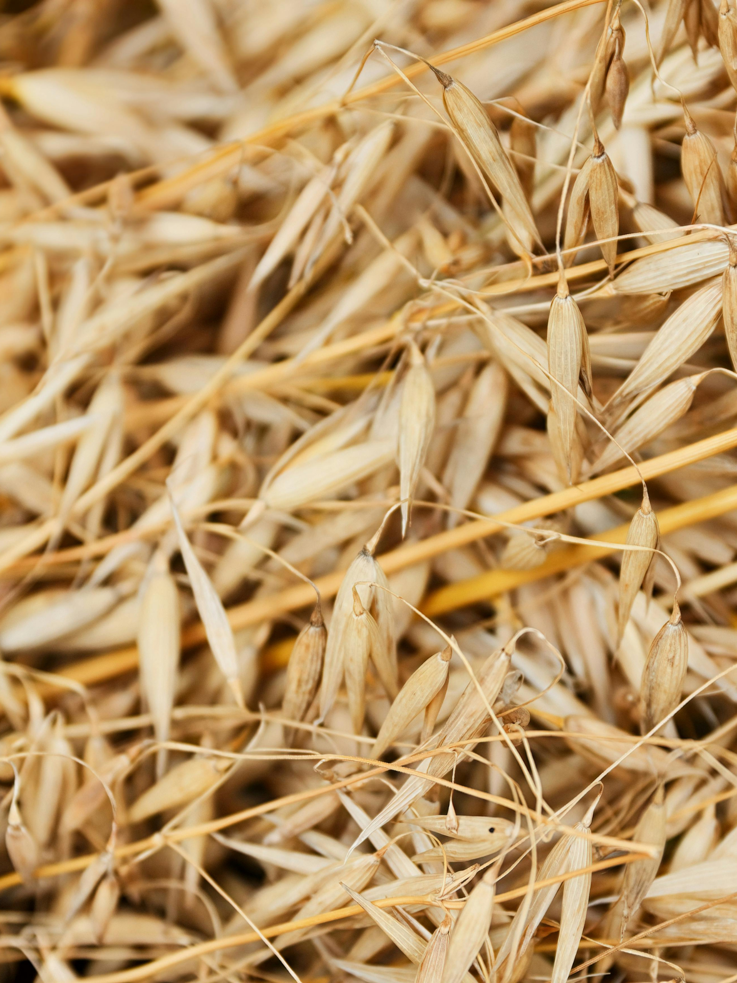 Micro-baume nourrissant lèvres THE SMILIST