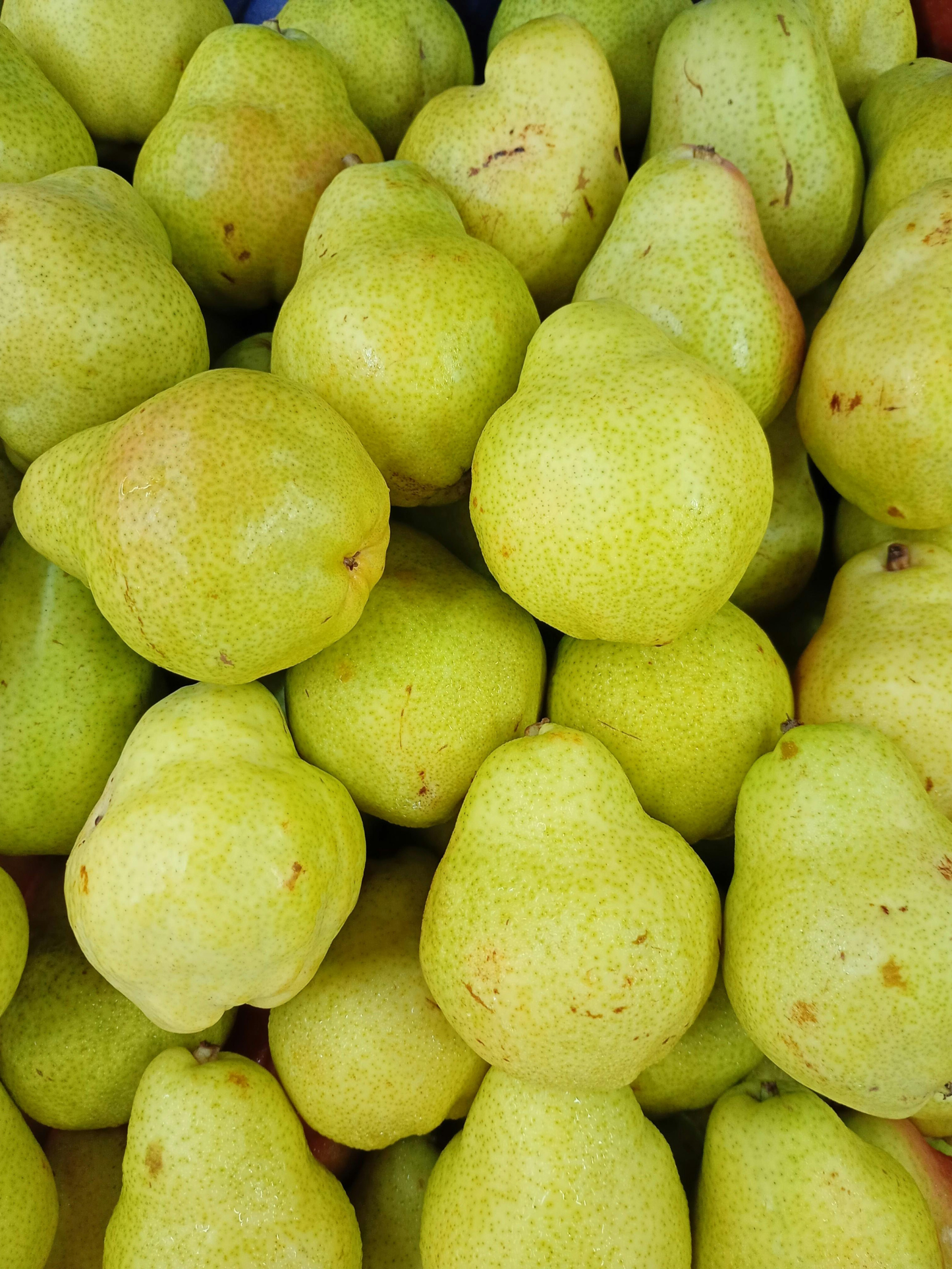 Eau de parfum Pear Pavlova FRENCH COWBOY