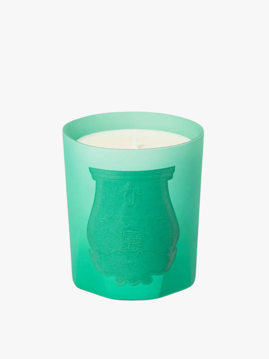 Bougie Under the trees TRUDON