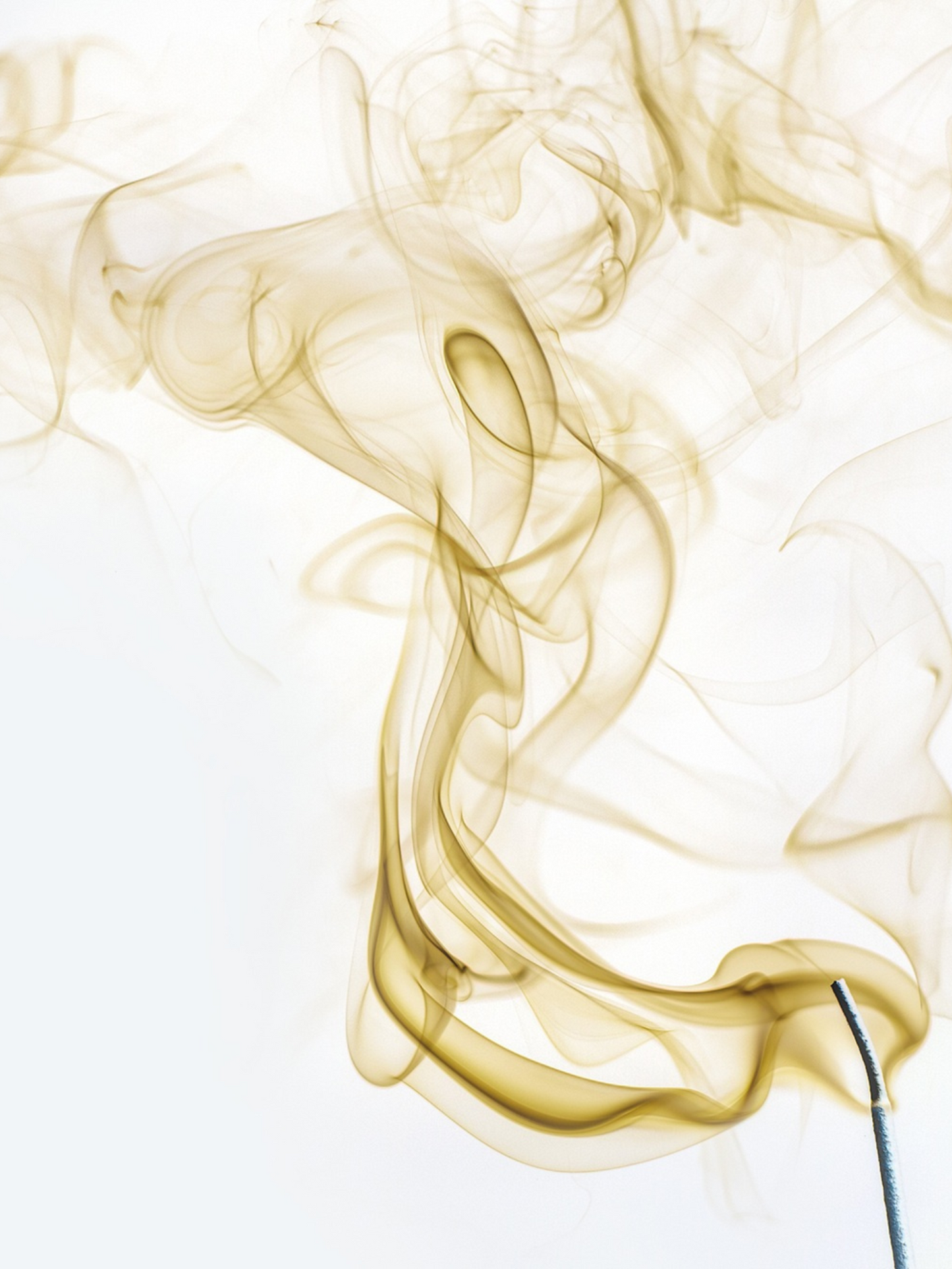 Bougie Spiritus Sancti TRUDON