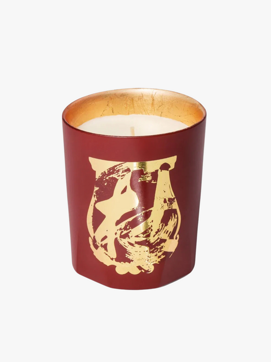 Bougie Terre à Terre TRUDON